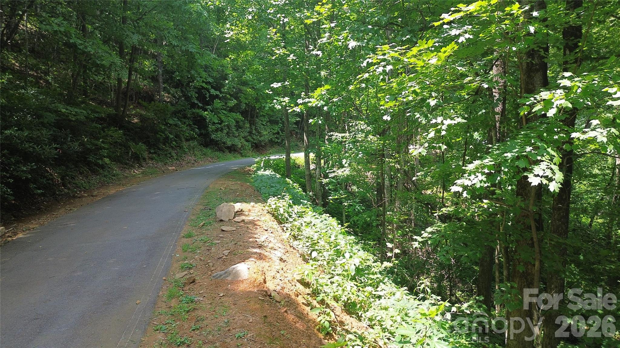 7 White Birch Court