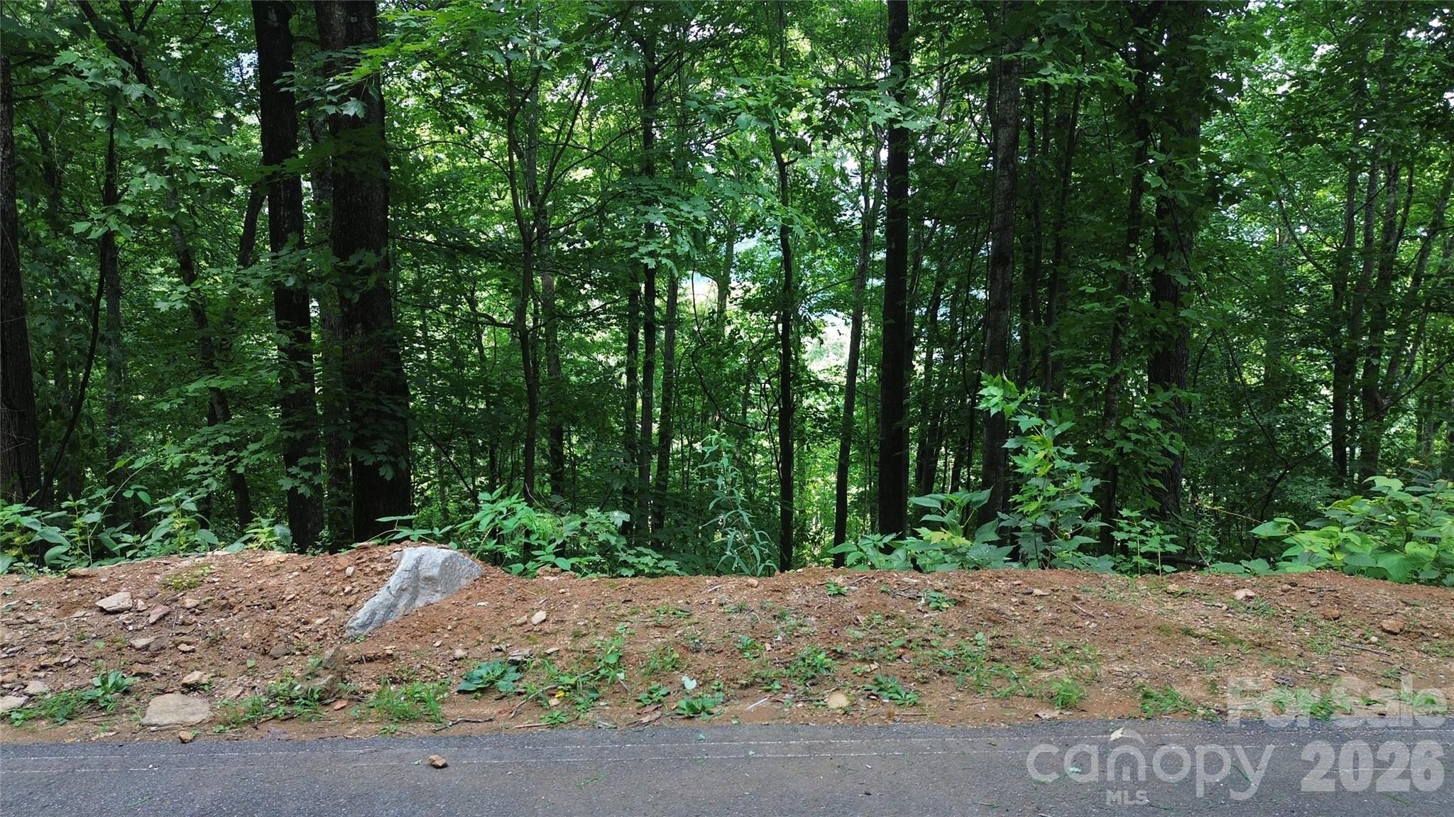7 White Birch Court