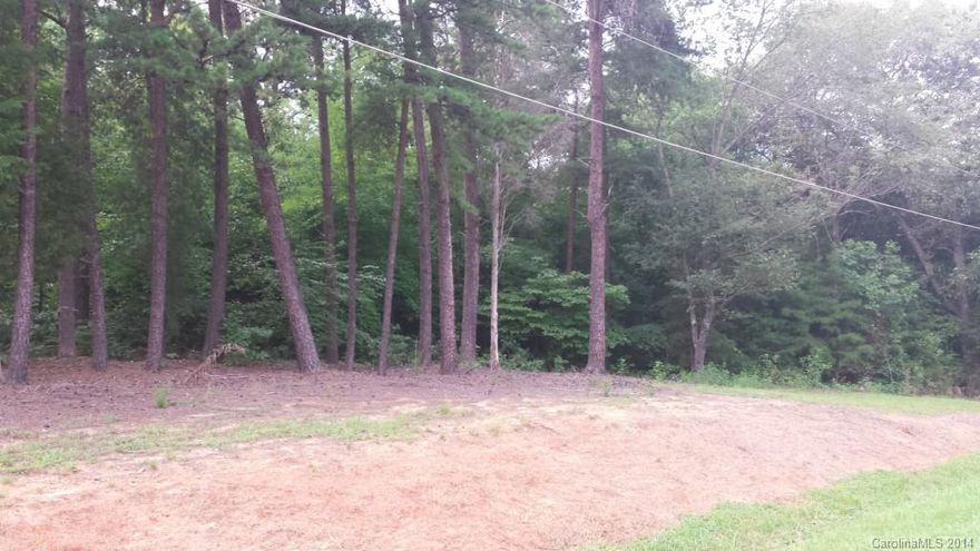 LAKE ACCESS - CORNER LOT located on a corner of paved road and gravel road.  MODULAR HOME ALLOWED.  CCRs say a corner lot can have a double family dwelling as long as each dwelling unit faces on a separate street (PLEASE VERIFY)  Beautifully wood lot.   Minimum Restrictions.  Will need well and septic.  Beautiful view of property  across the street ( a horse farm and barn).  Vista View is paved and state maintained.

GATED COMMUNITY LAKE LOT with picnic area and sandy beach.