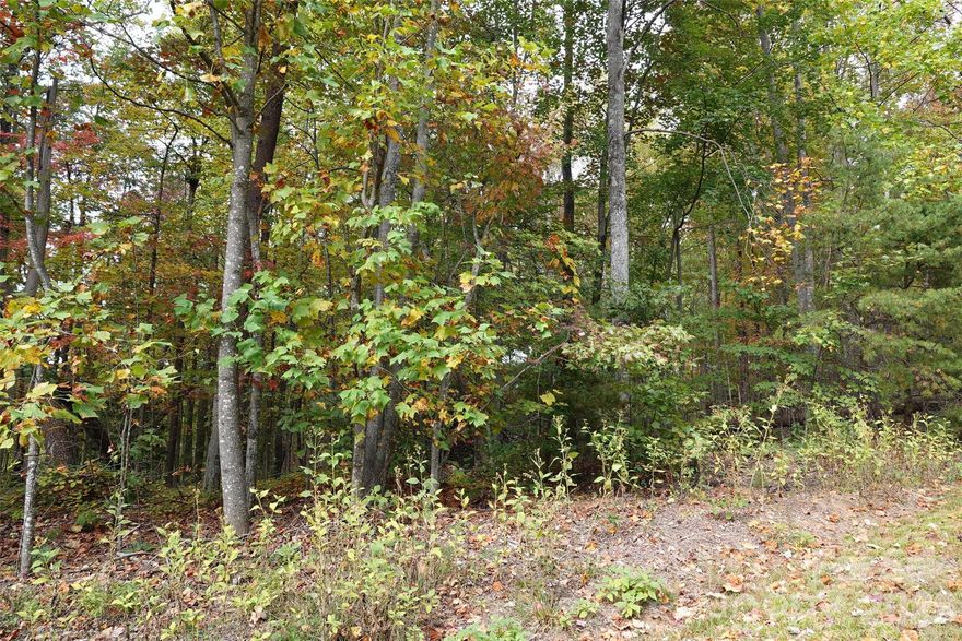 Sunset-view 5.34-acre mountain lot — Golden Valley Estates (gated, paved roads). Looking for a peaceful place to slow down, simplify, or plan a future retirement retreat? This mountain homesite offers privacy, paved roads, and beautiful sunset views in a quiet, gated community in the foothills of Western North Carolina. The setting feels private and natural, yet you’re conveniently located halfway between Charlotte and Asheville, with easy access to I-26, I-85, and I-40 — a great fit for buyers who want to buy now and build later. Golden Valley Estates was the first of the Fall Creek land developments and includes about 132 homesites across 1,100+ acres, offering space, privacy, and a calm mountain atmosphere without death defying curves and drops. Nearby, visiting family and friends will enjoy the popular Camp Golden Valley / Jellystone Resort and regional outdoor destinations, while you enjoy the quiet comfort of coming home to your own wooded mountain property. Well and septic needed. Minimum 1,200 SF site-built home. No STRs, manufactured homes. HOA $450 annually.
Come see why so many out-of-area buyers choose Golden Valley for their next chapter.