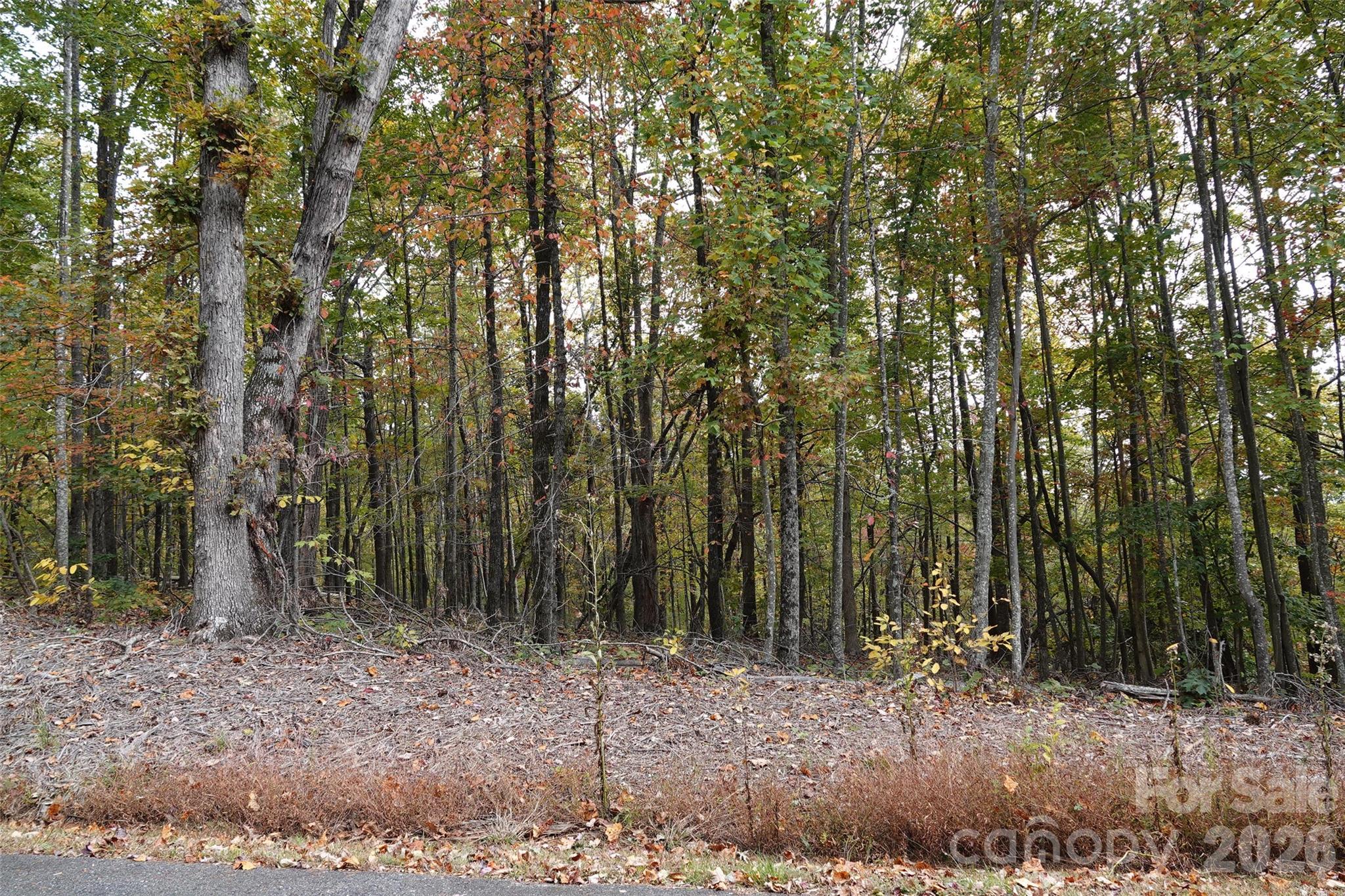 Golden Valley Estates - Land