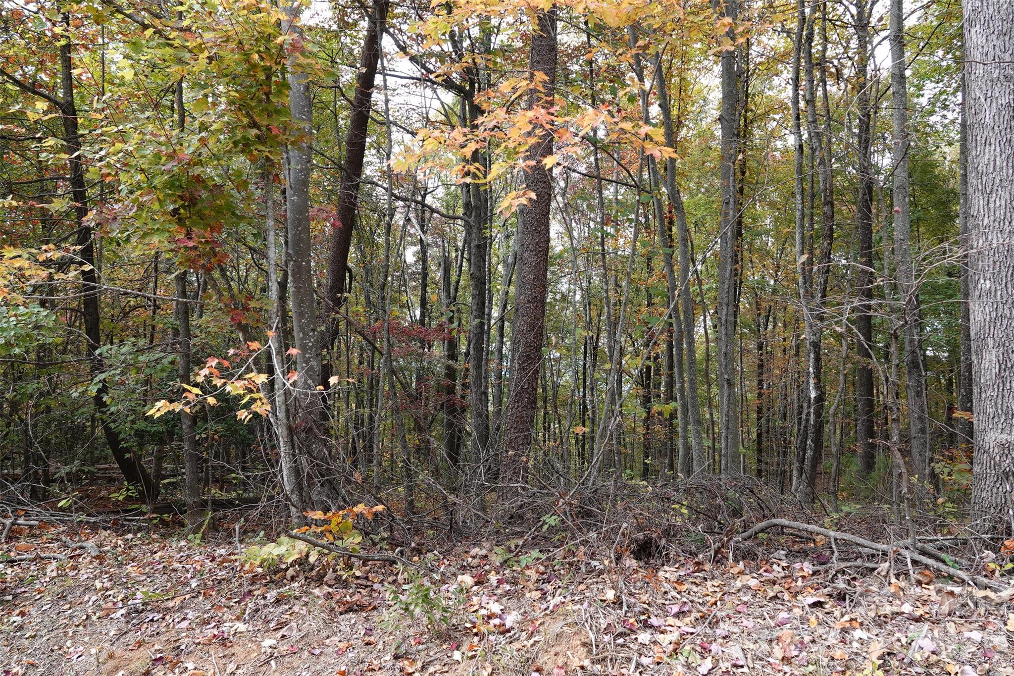 Golden Valley Estates - Land