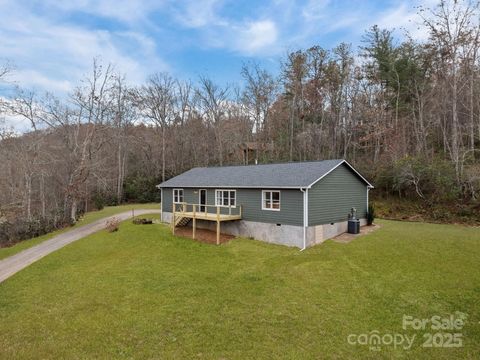 73 The Old Run None Fairview NC 28730