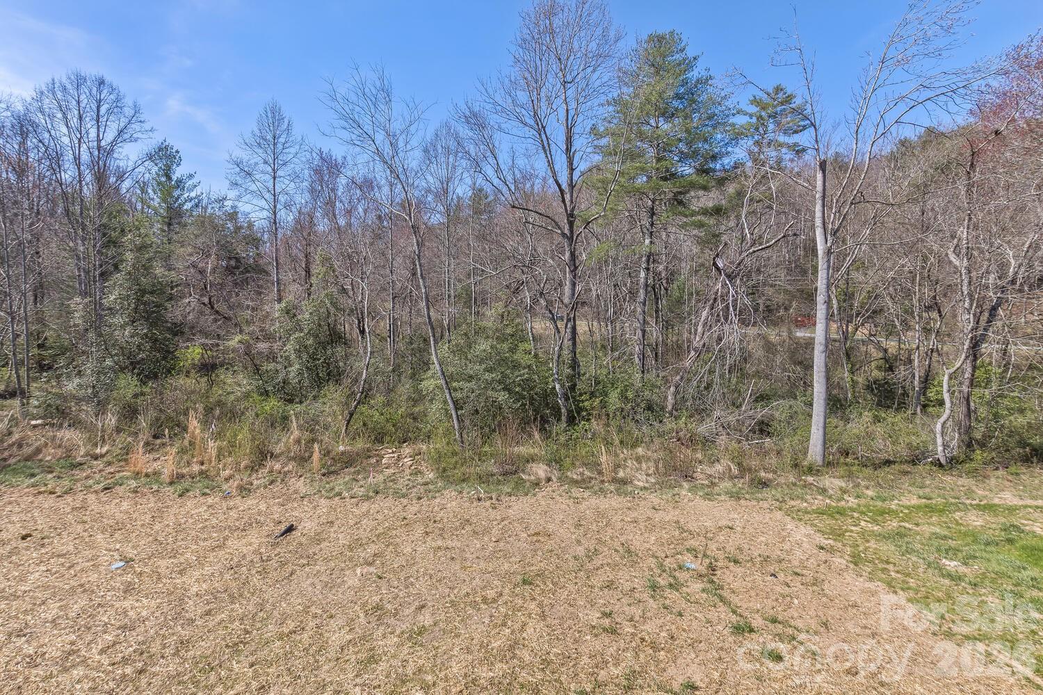 231 EDGEWOOD Road S 5