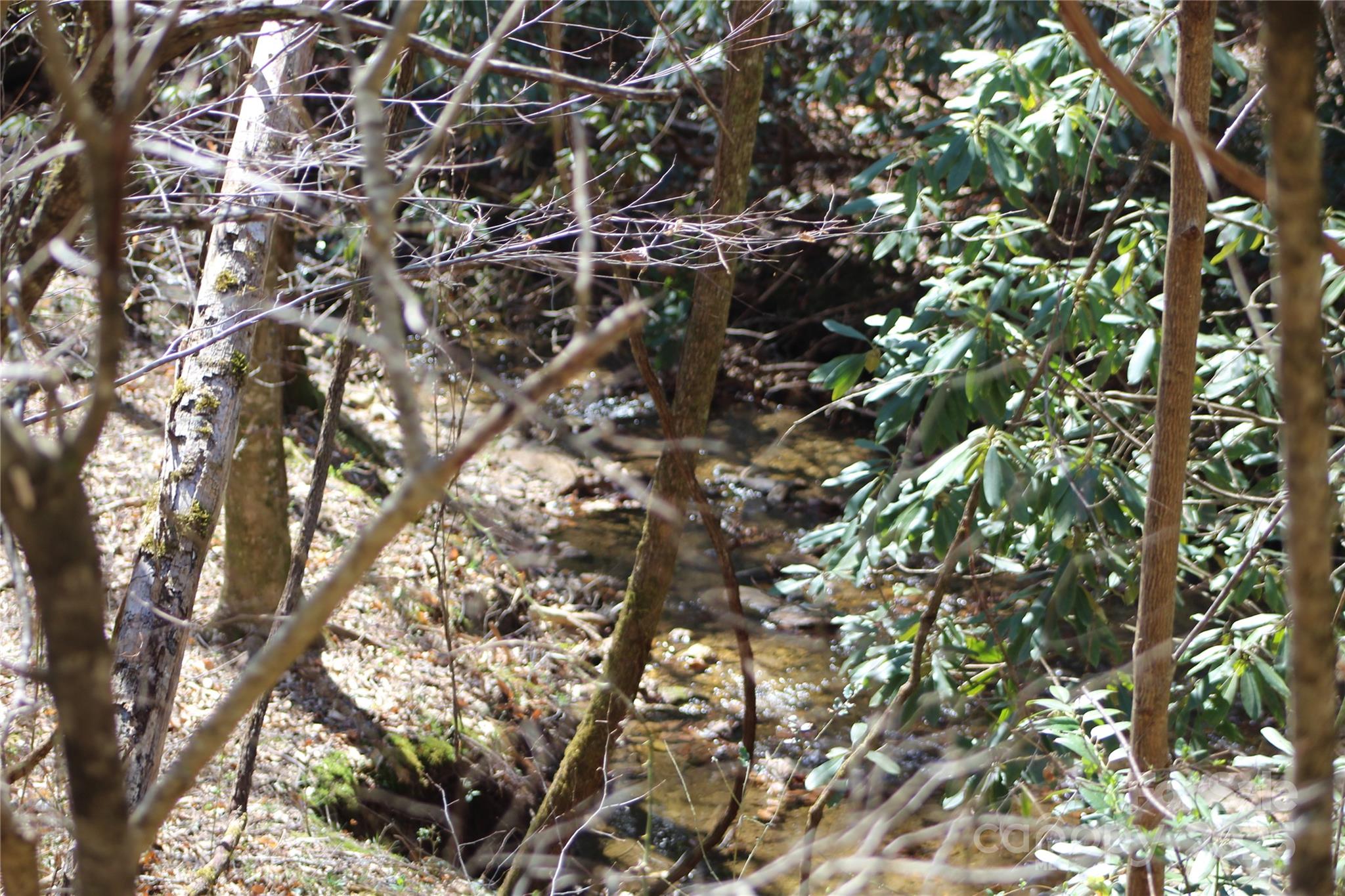 Heartwood Forest - Land