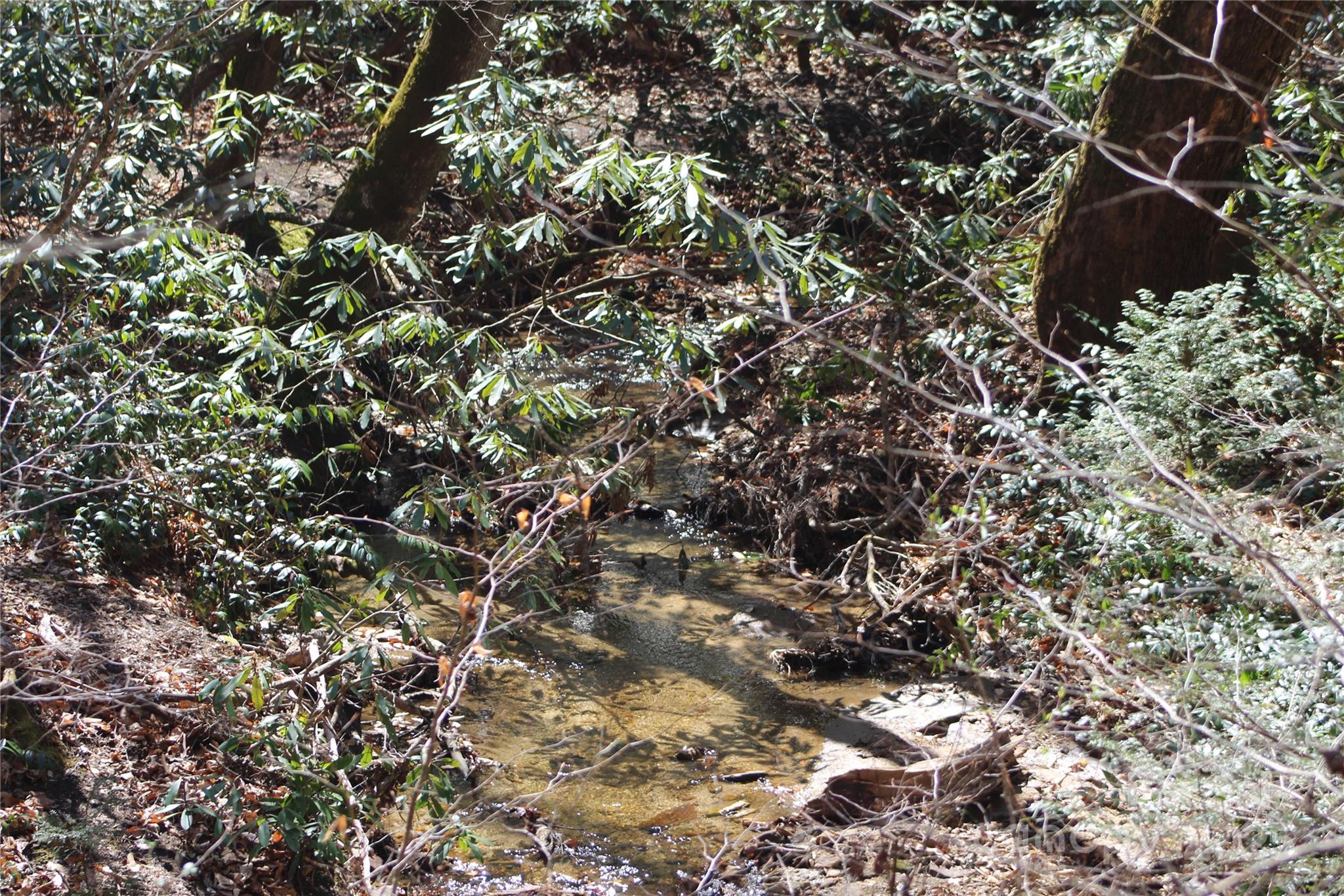 Heartwood Forest - Land