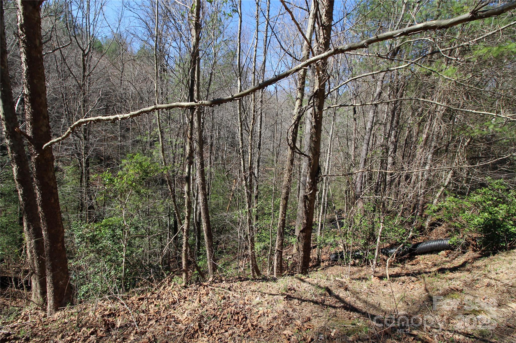 Heartwood Forest - Land