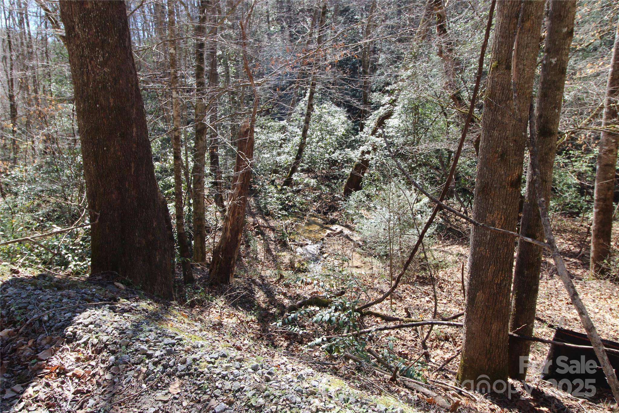 Heartwood Forest - Land