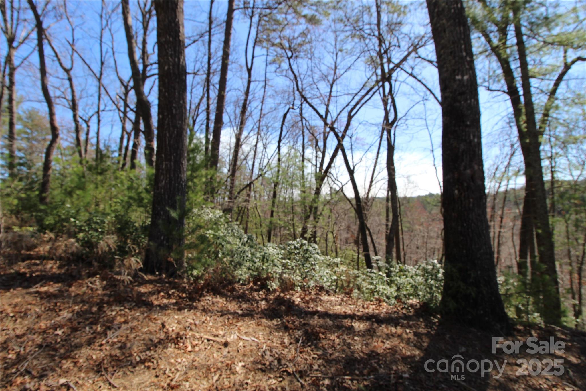 V/L Heartwood Forest Drive 26 & 27