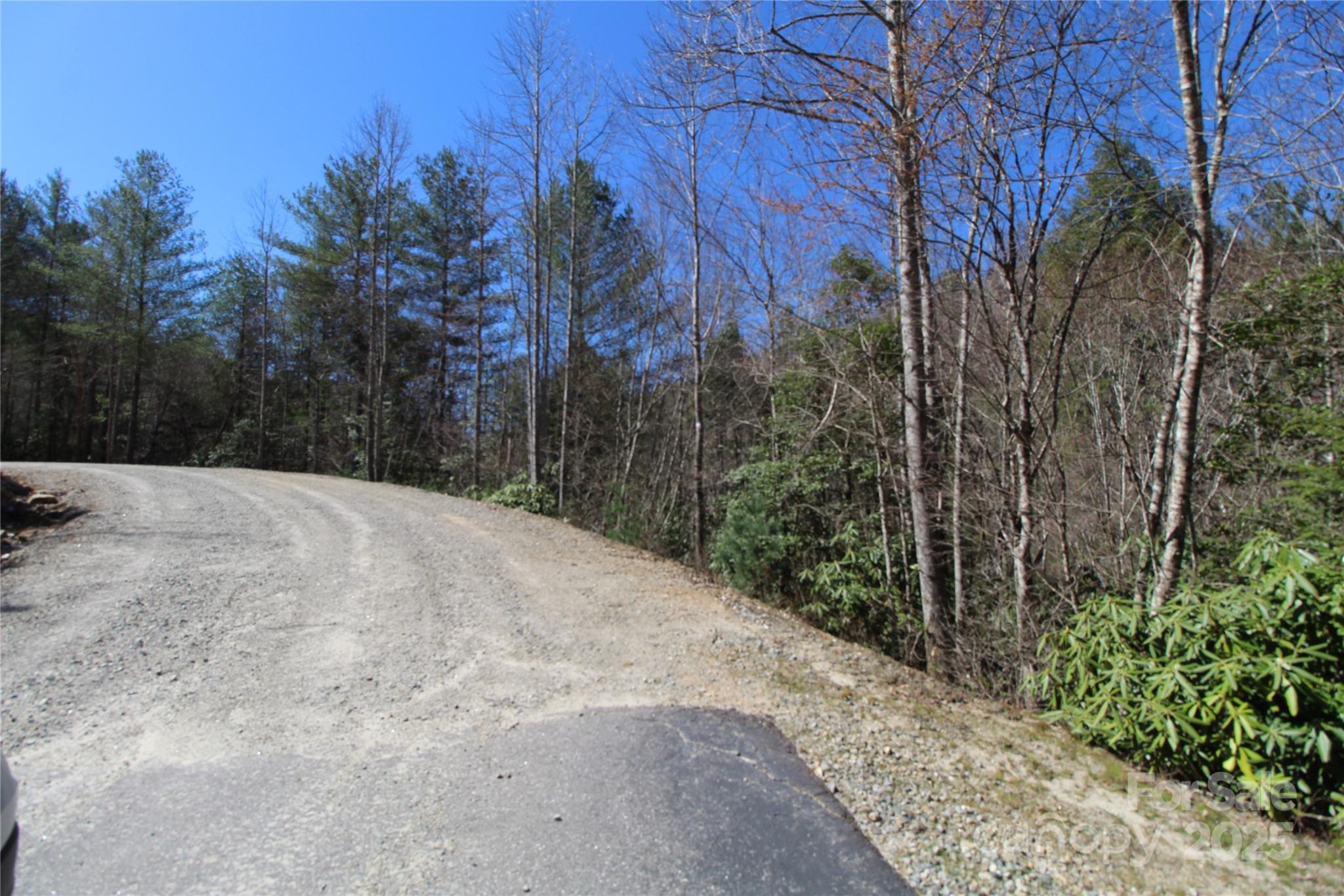 Heartwood Forest - Land