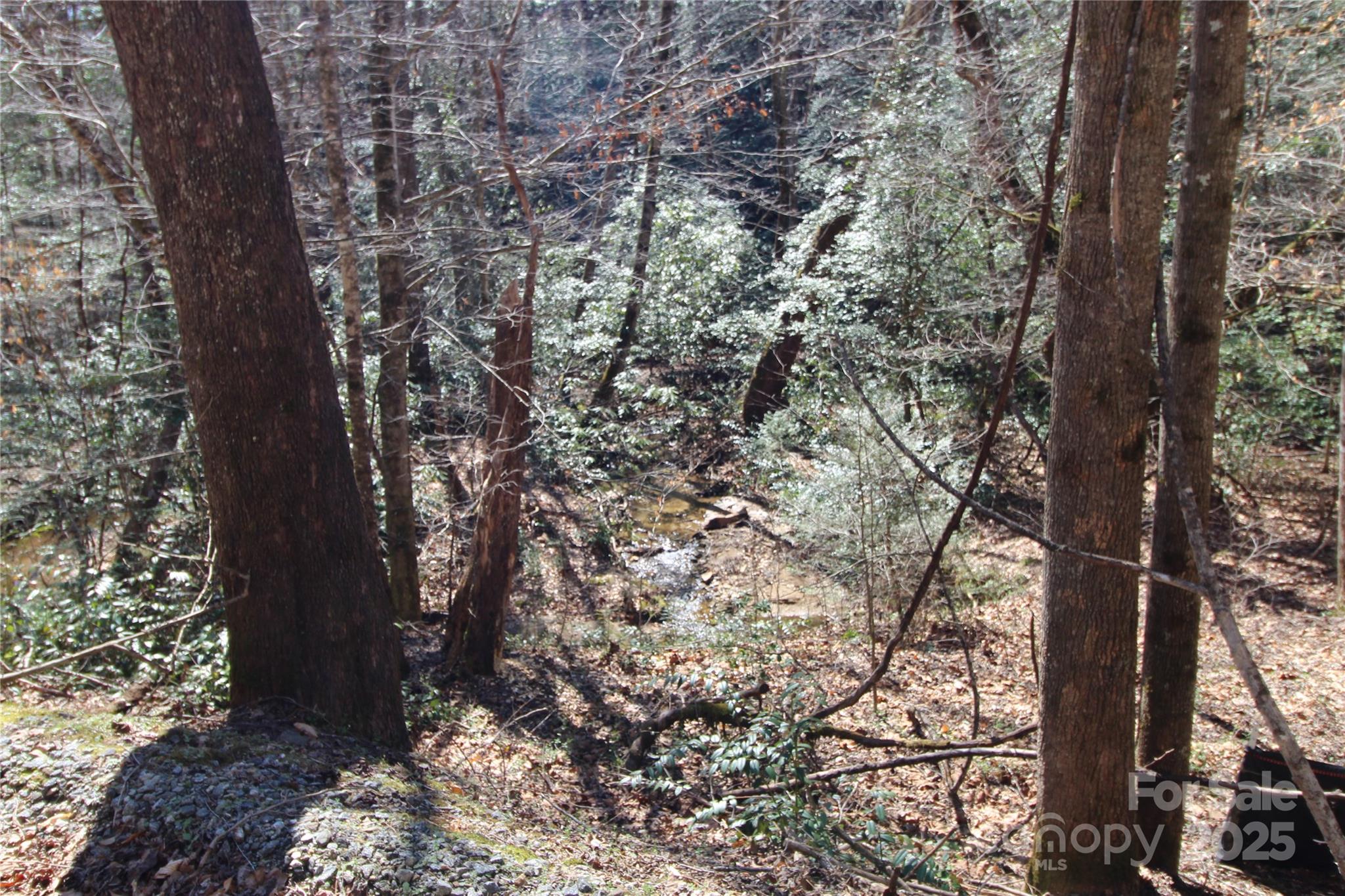 Heartwood Forest - Land