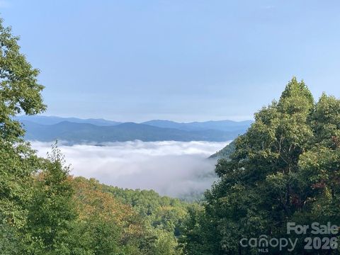 216 Tinequa Drive Brevard NC 28712