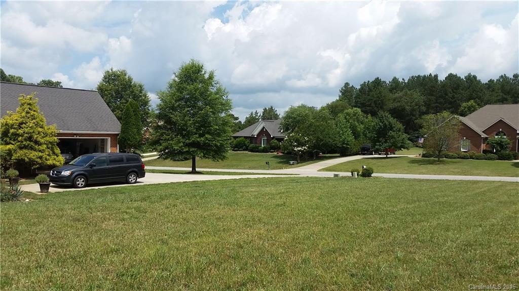 Spring Forest - Land