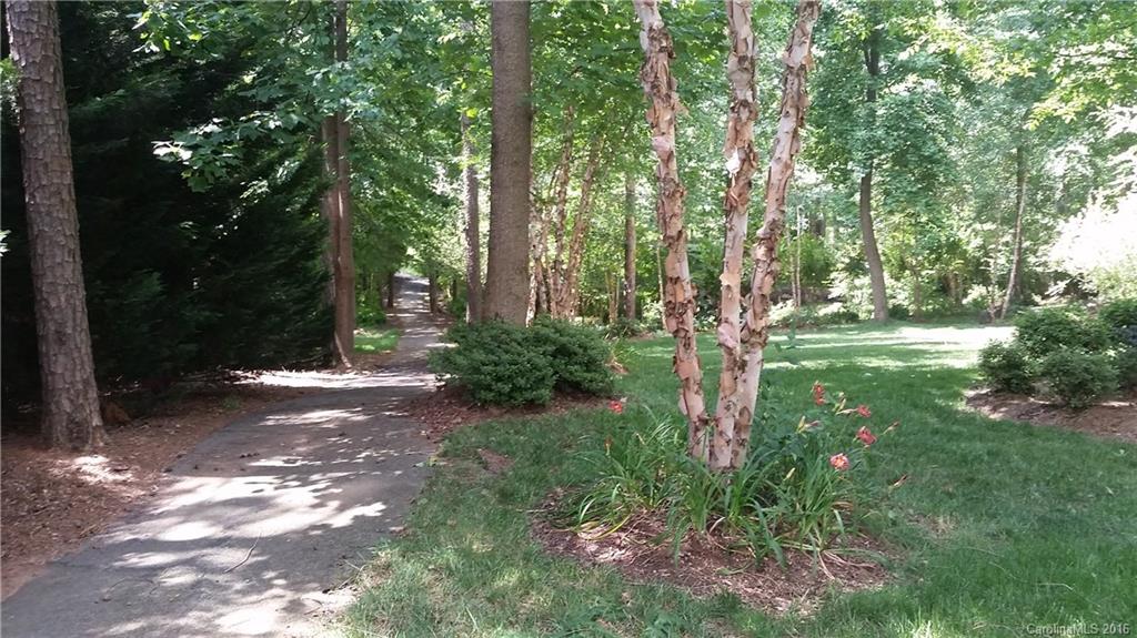 Spring Forest - Land