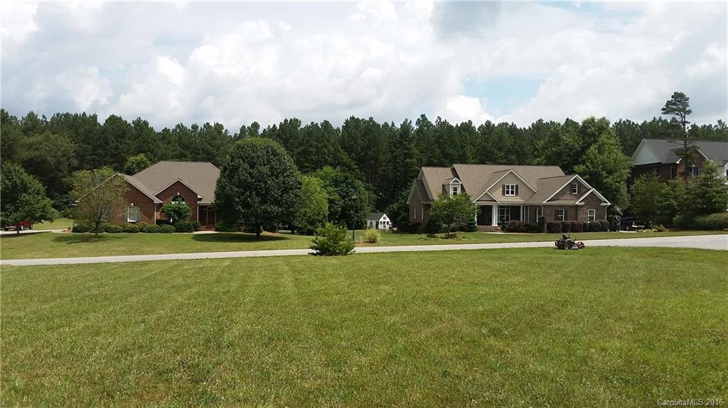 Spring Forest - Land