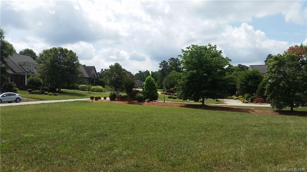 Spring Forest - Land