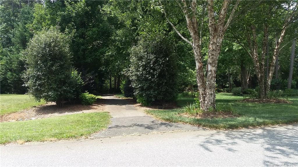 Spring Forest - Land