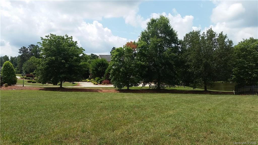 Spring Forest - Land