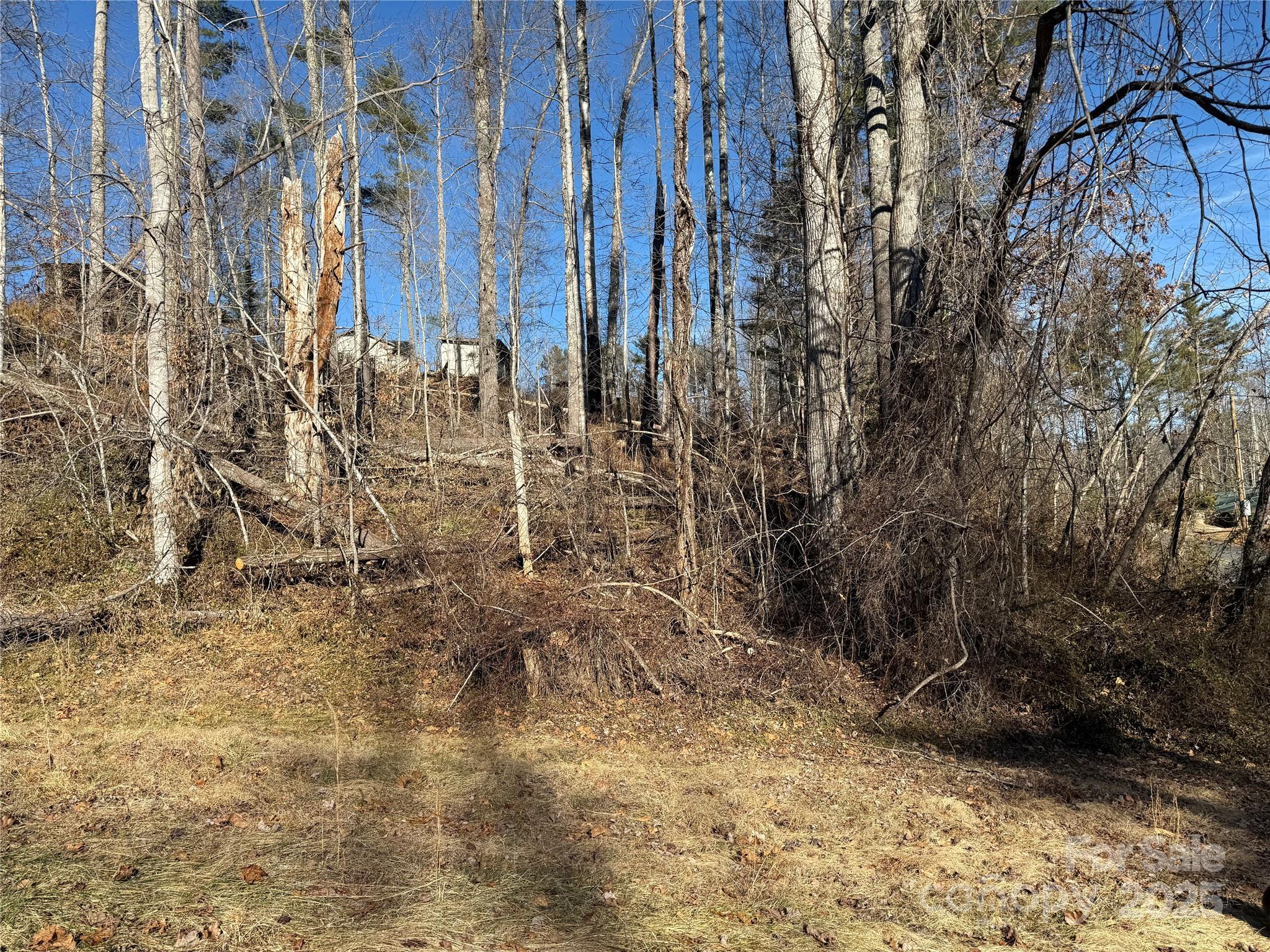 TBD George McKinney Circle