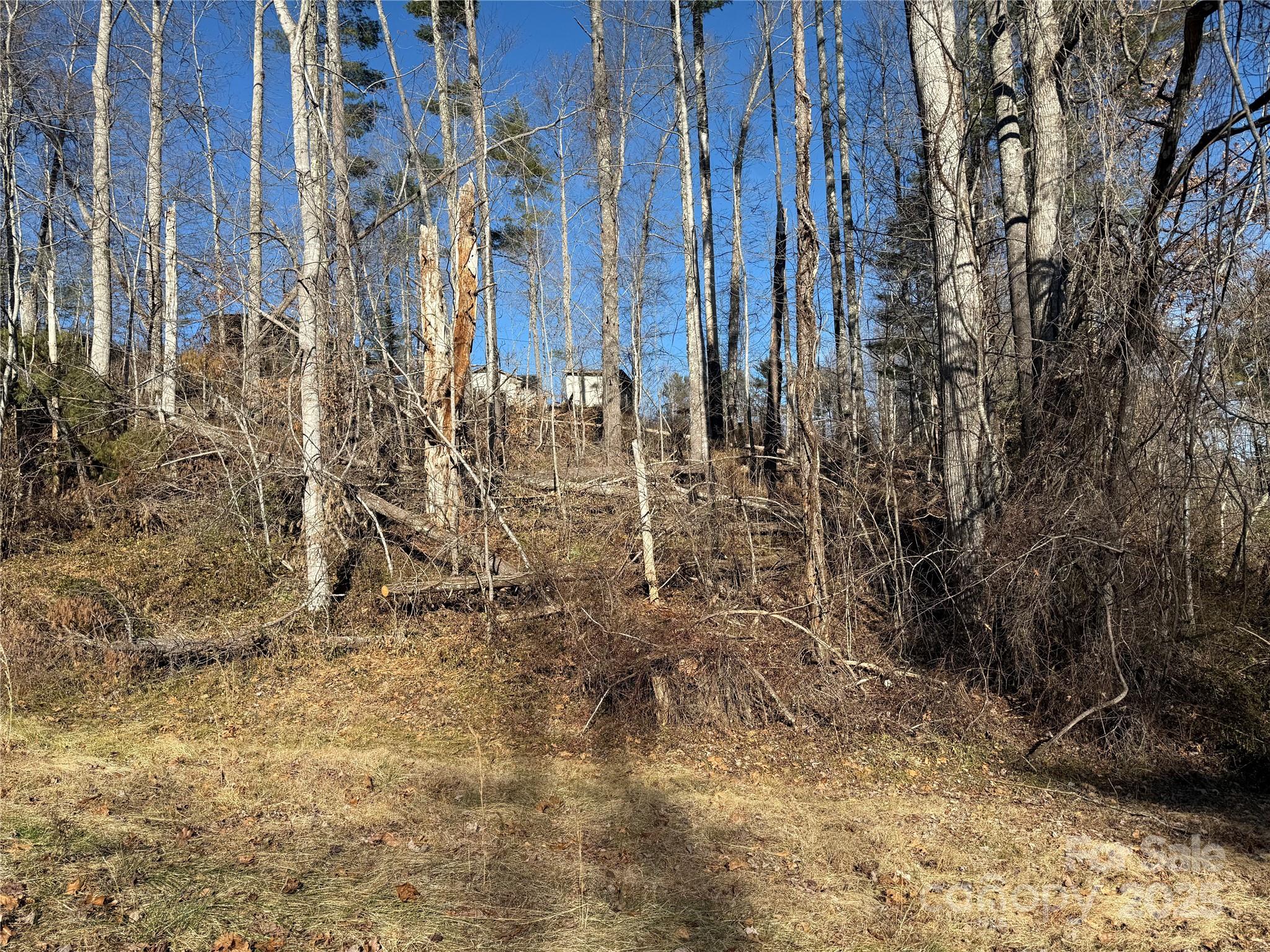 TBD George McKinney Circle