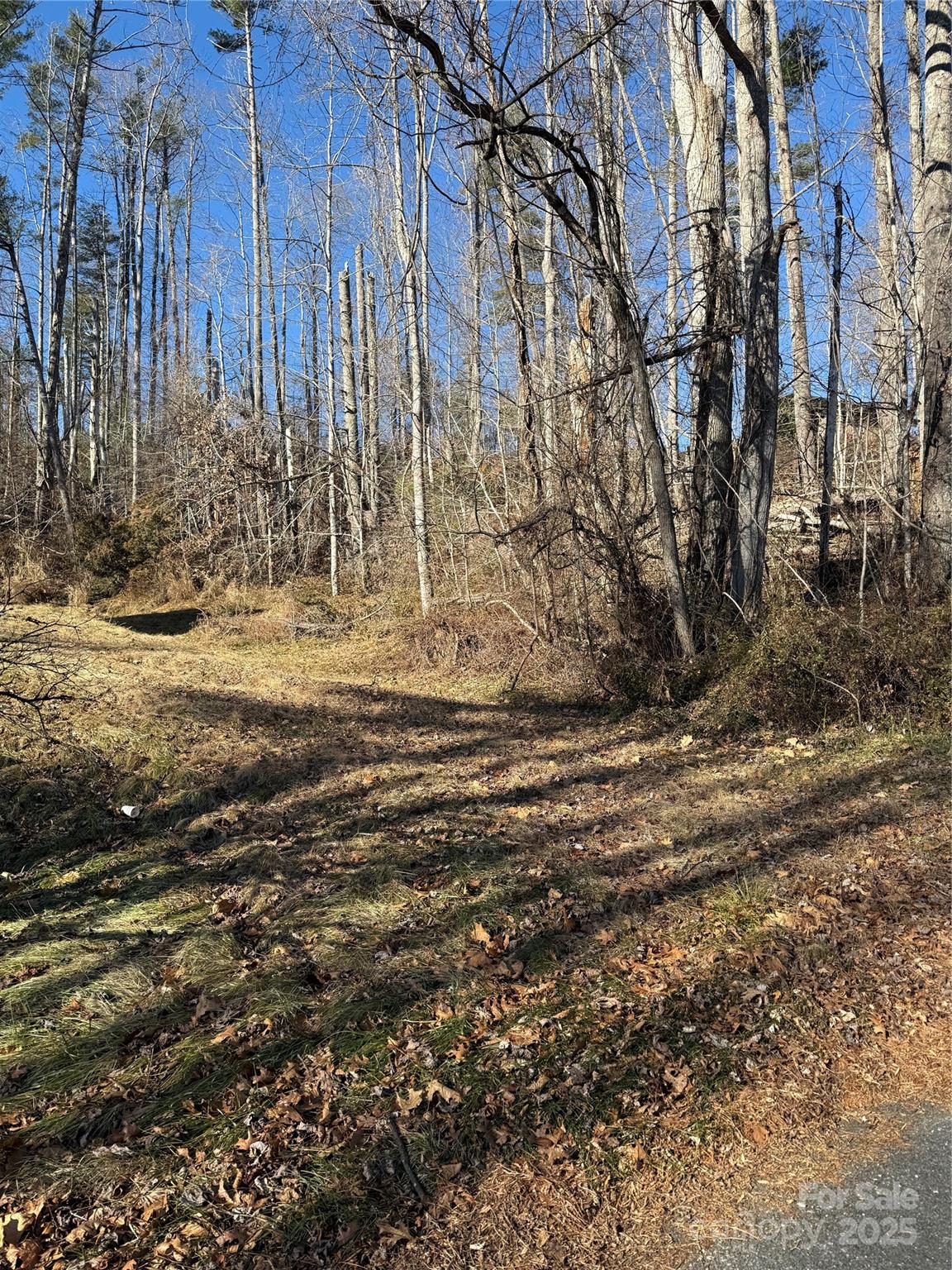 TBD George McKinney Circle