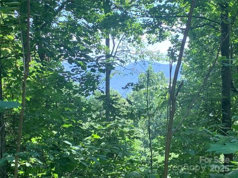 1915 Creston Drive T-18 Black Mountain NC 28711