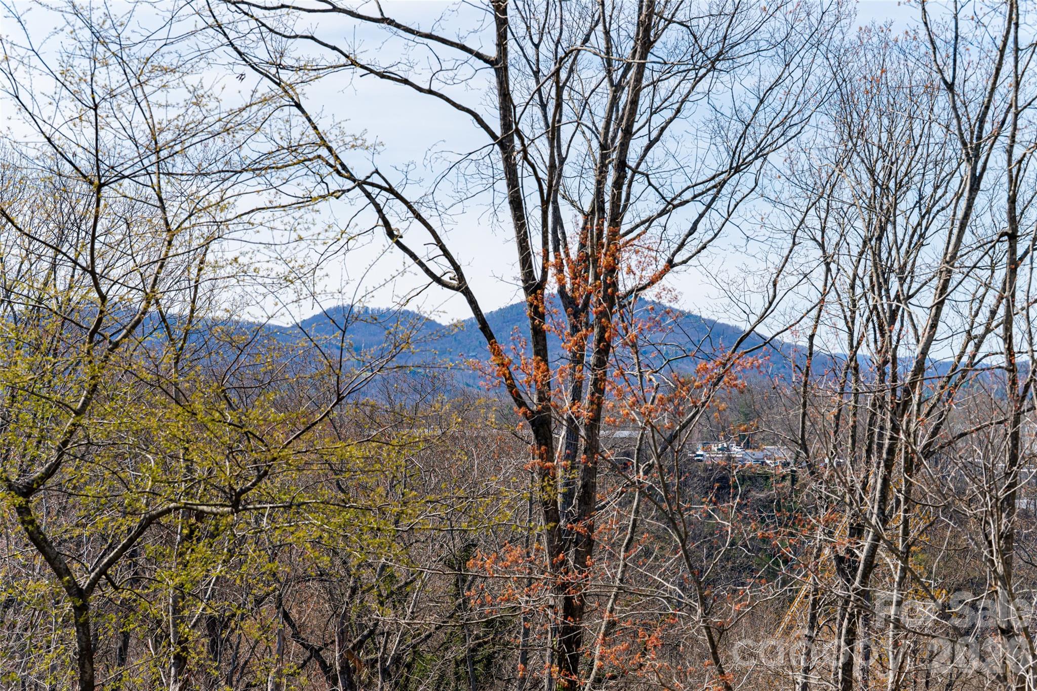 Montford - Residential