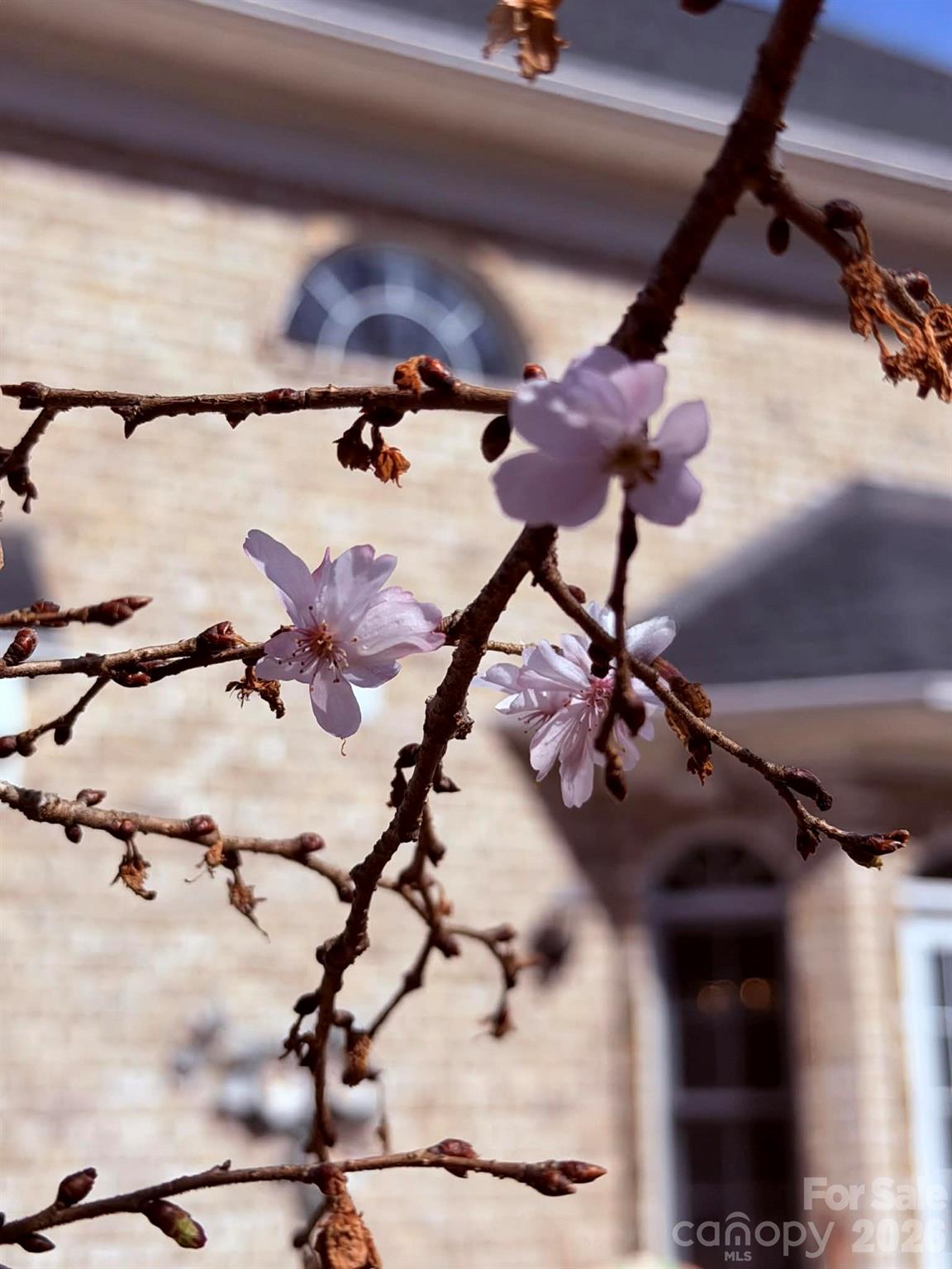 Stonecroft Estates - Residential