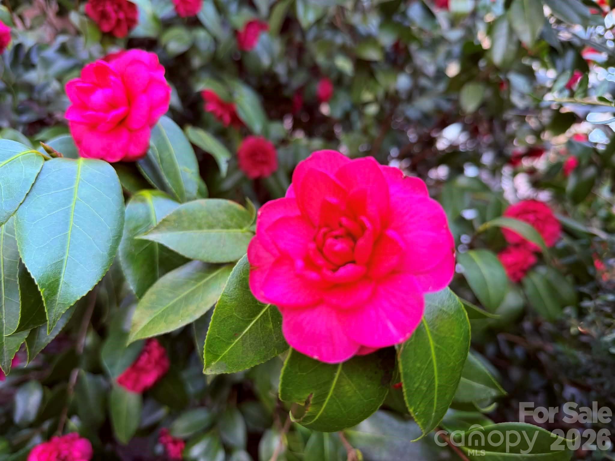 510 SE Stonecroft Court SE 32