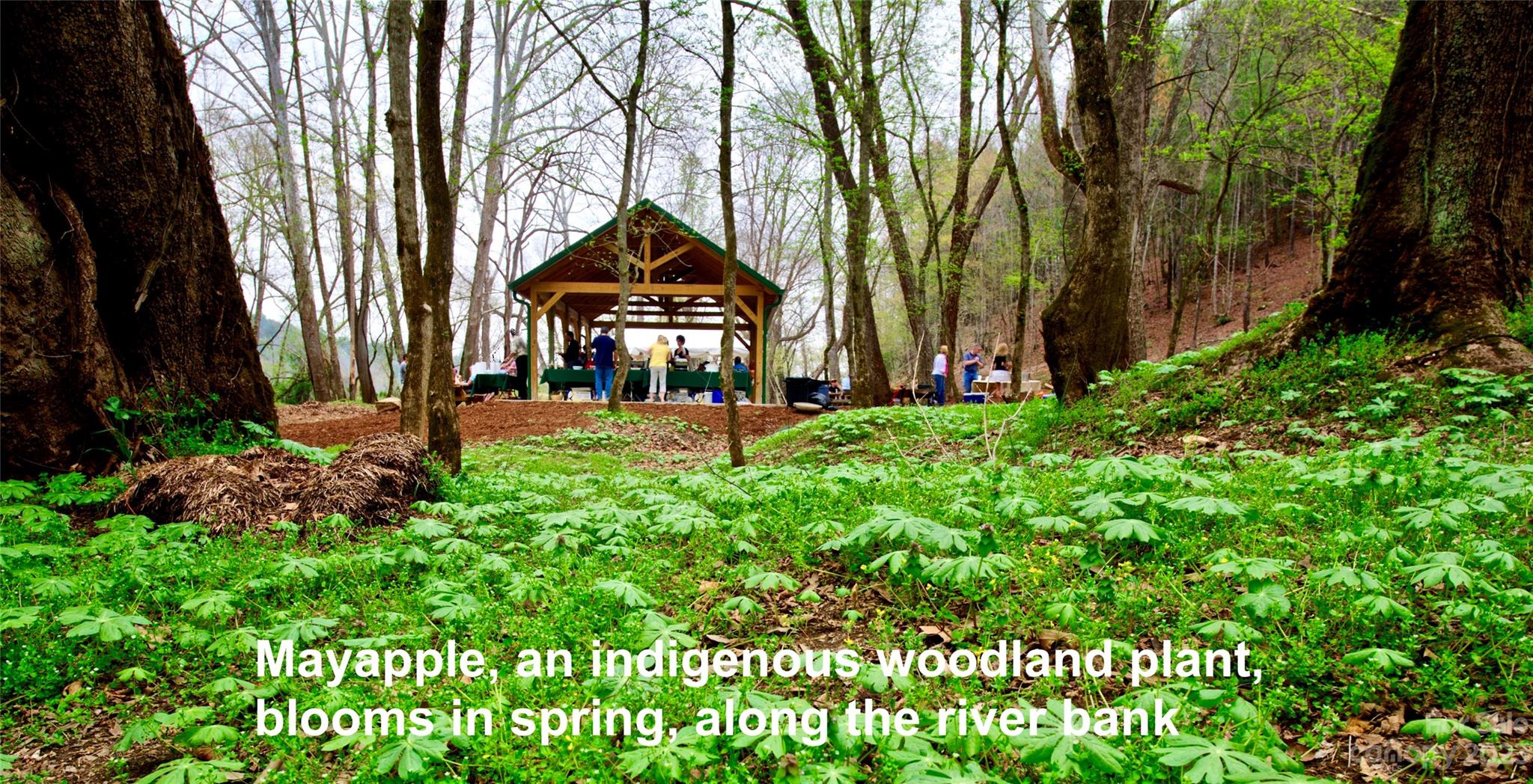 The Coves Mountain River Club - Land