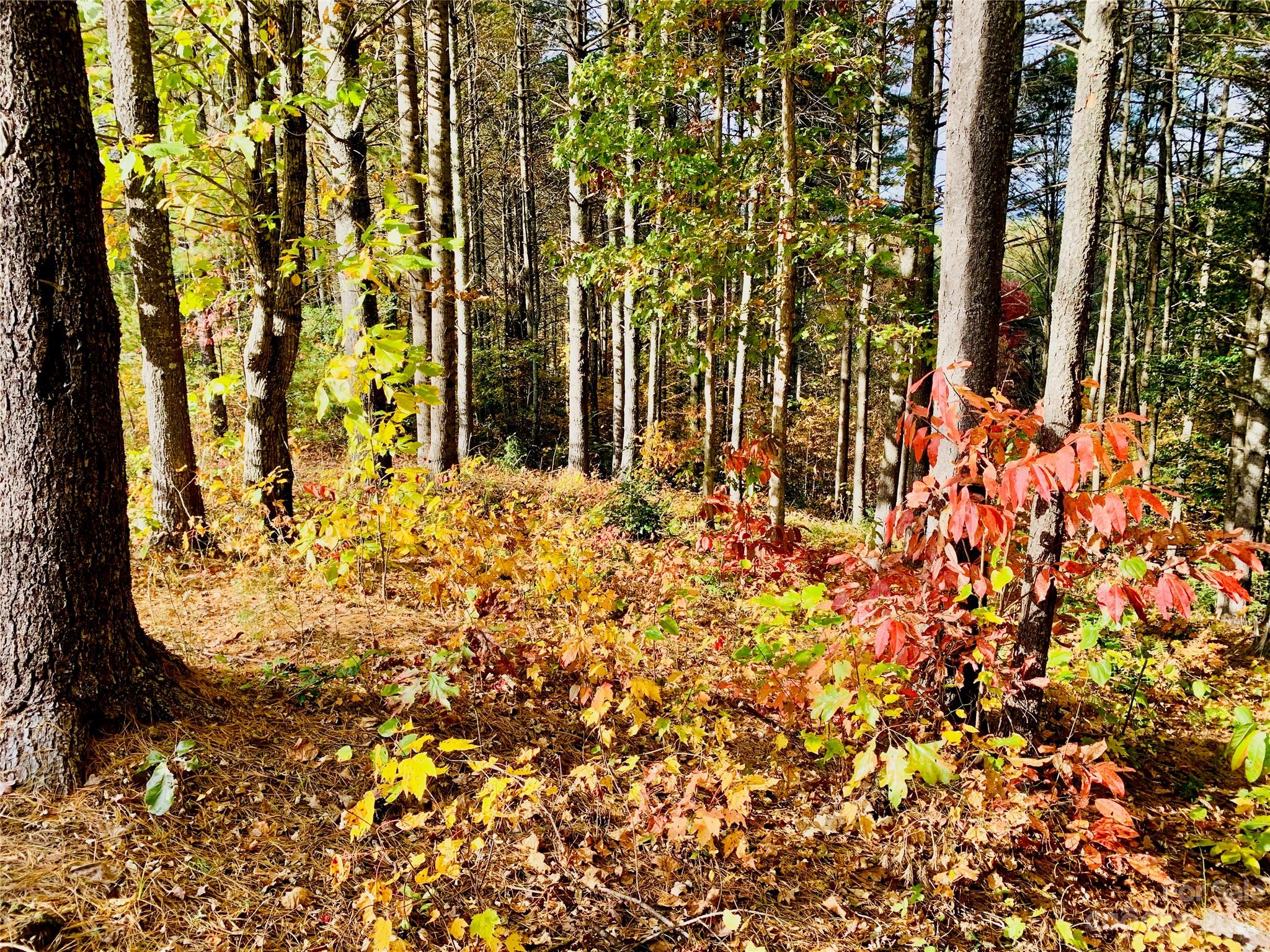 1.34 acres, Lot 234 Waterfall Lane 234