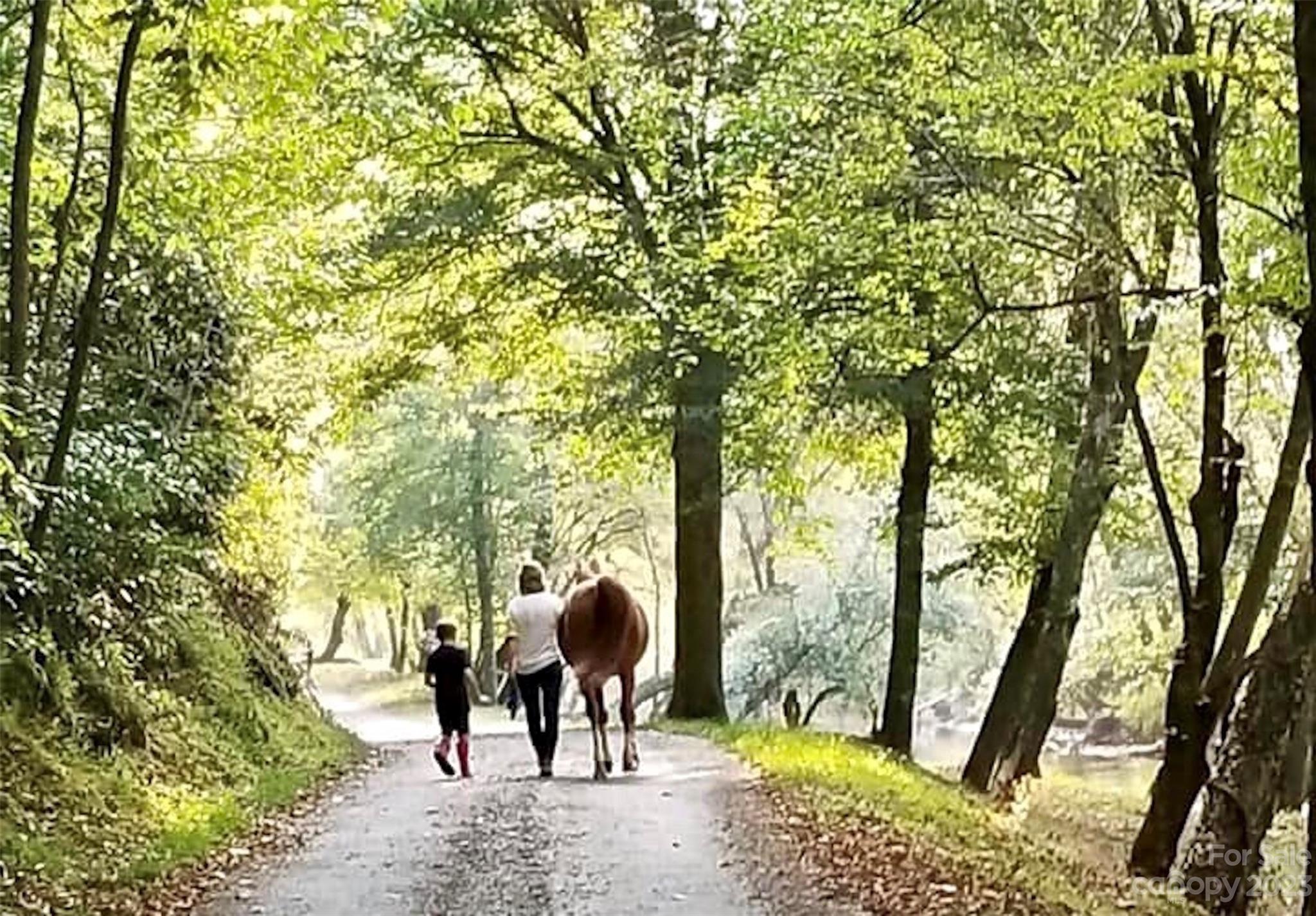 The Coves Mountain River Club - Land