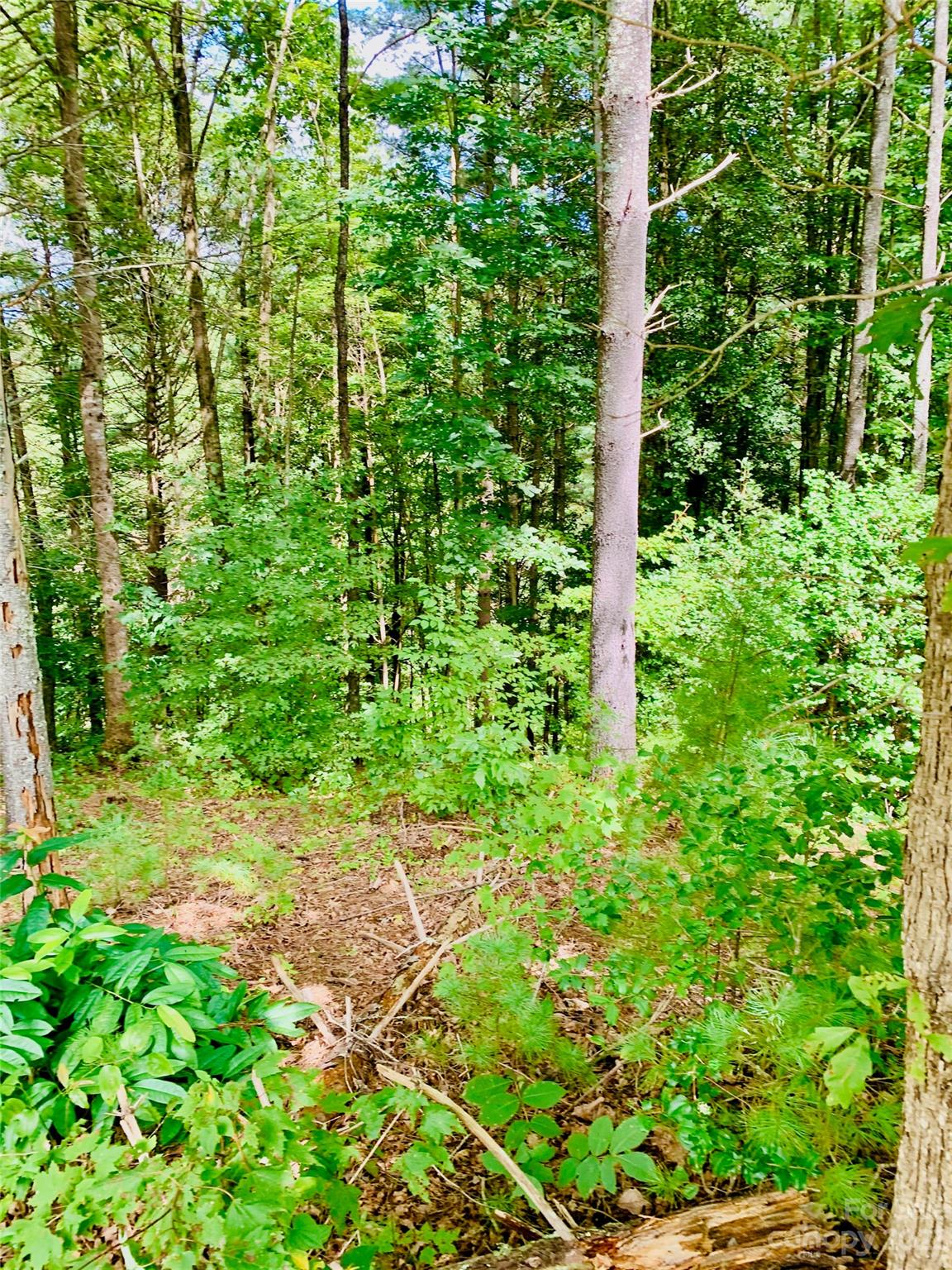 The Coves Mountain River Club - Land