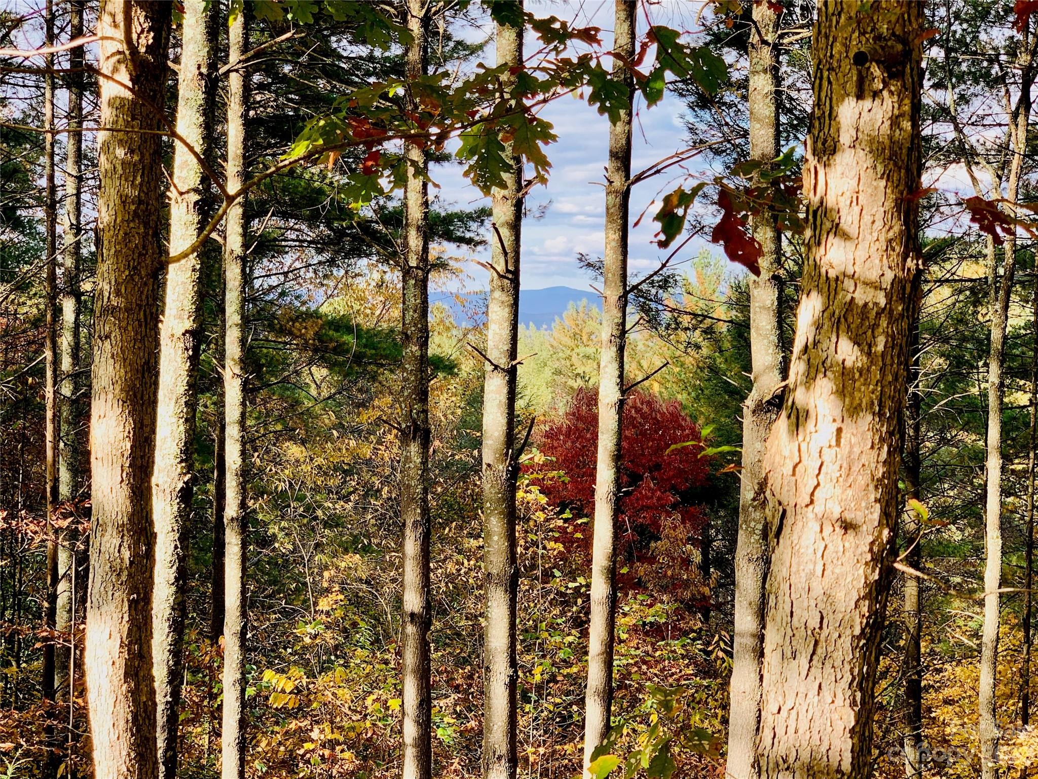 1.34 acres, Lot 234 Waterfall Lane 234