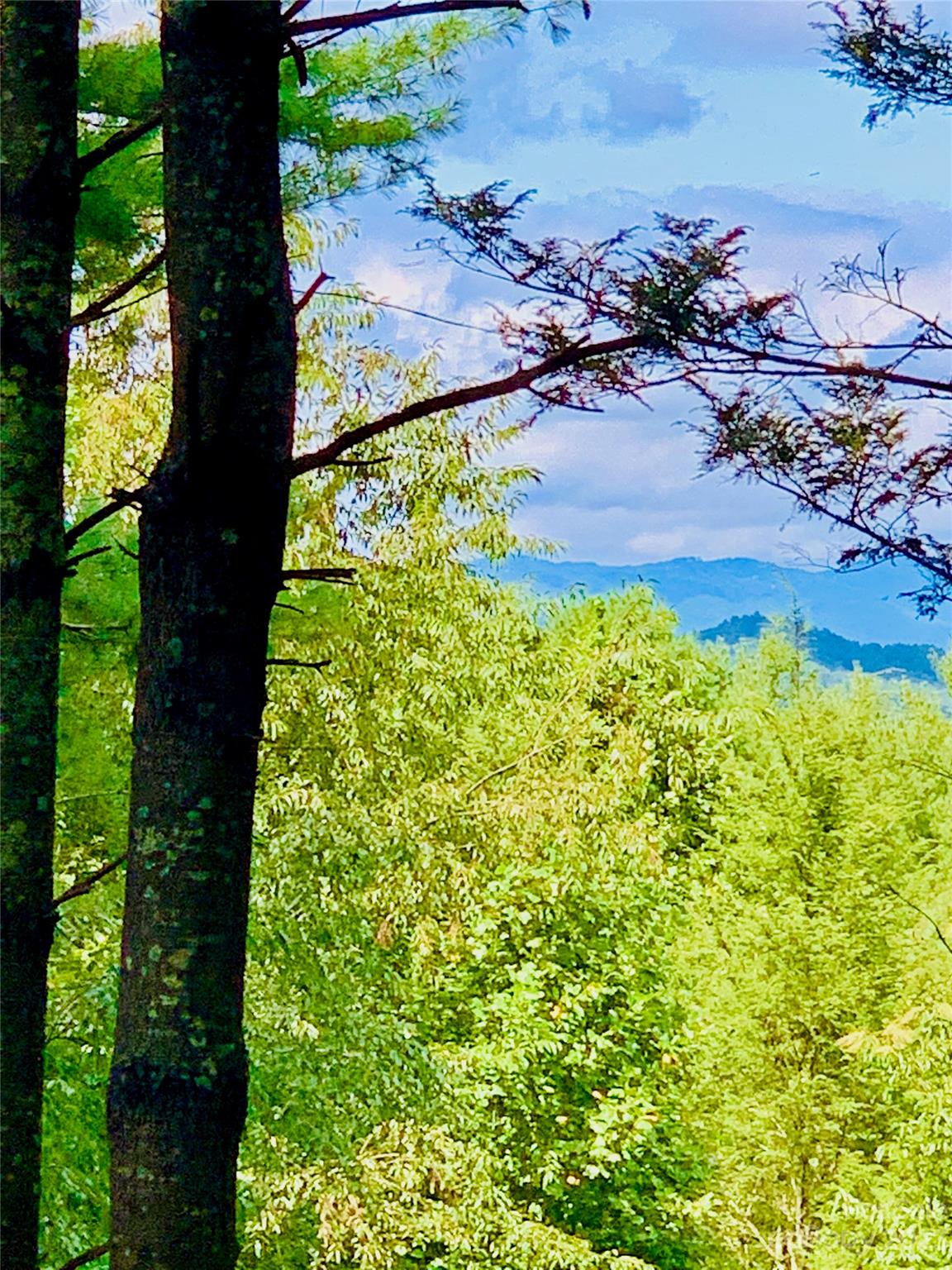 The Coves Mountain River Club - Land