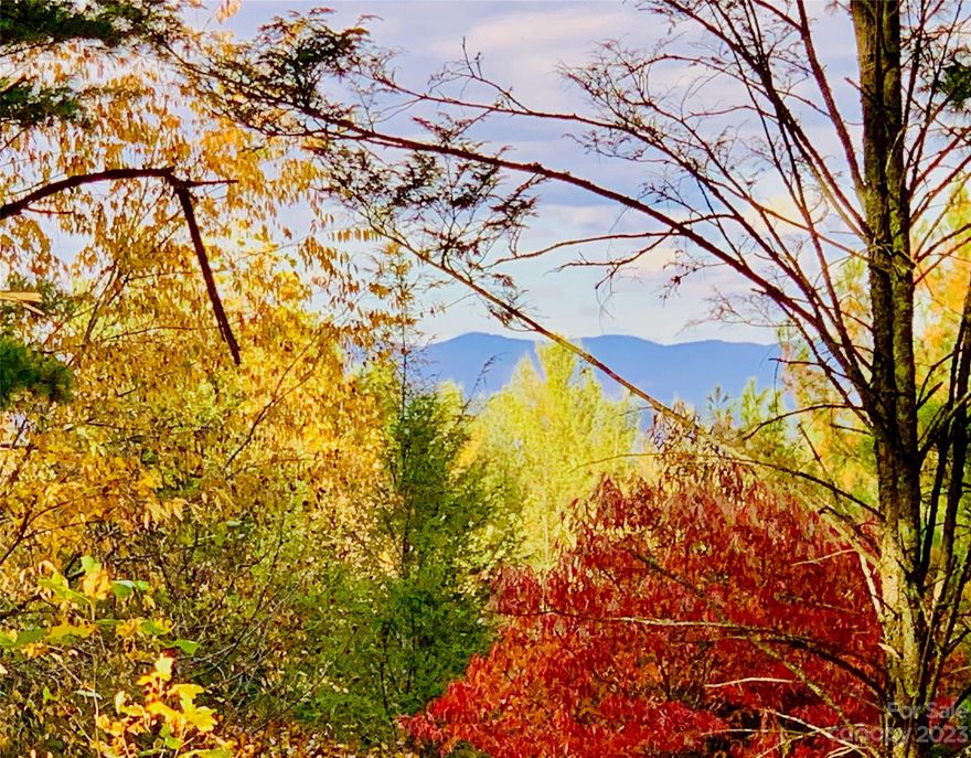 1.34 acres, dramatic mountain views, on Waterfall Ln, a quiet culdesac at #TheCovesMountainRiverClub.Gorgeous hardwood and dogwood trees, mountain laurel. View can be opened up much more.  Spring-fed stream babbles by in back; a trail winds past the stream to the #JohnsRiver, #CommunityGarden, vineyard, and river-side barn. Tuck your cabin behind the berm in front or clear the berm to street level and spread out on the 345' wide lot. The Coves is a 3,200 acre #BlueRidgeMountains community. Ideal 4 season weather. Miles of PRIVATE trails. Kayak or fish 5 miles of Johns River on site. 360° degree views from wrap-around porch/deck at Clubhouse, only 0.5 mile away; fitness center, locker rooms, pool, fire rings, kitchen, fireplace, library, pool table. Social events, excursions, hiking, travel, yoga. 25+ clubs. 2 #Equestrian Centers. #DogPark #PickleBall. 500k acre #PisgahNationalForest across the road! 1.25 hr to #Charlotte #Asheville. Minutes to #BlowingRock #Morganton #LenoirNC