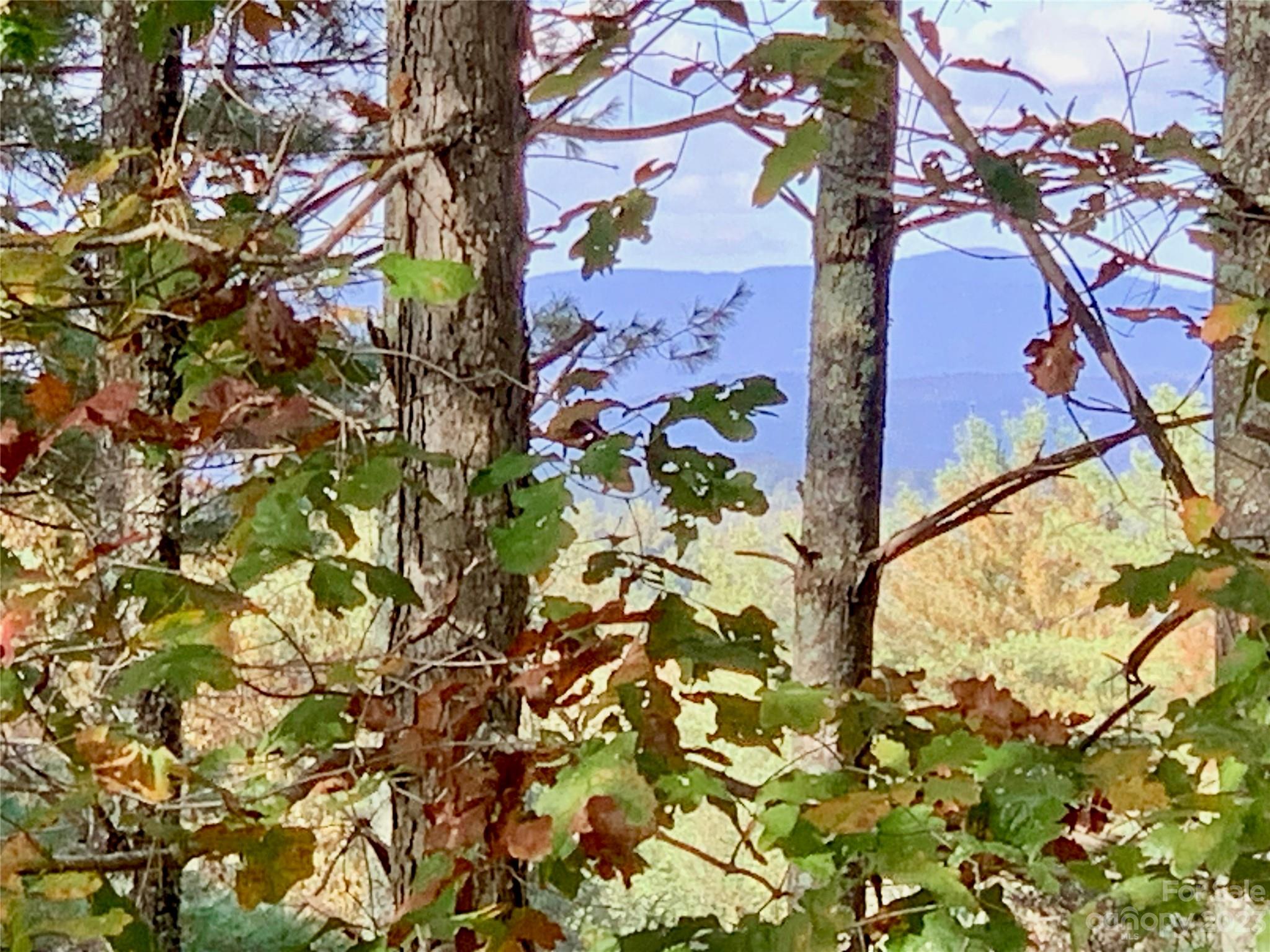 1.34 acres, Lot 234 Waterfall Lane 234