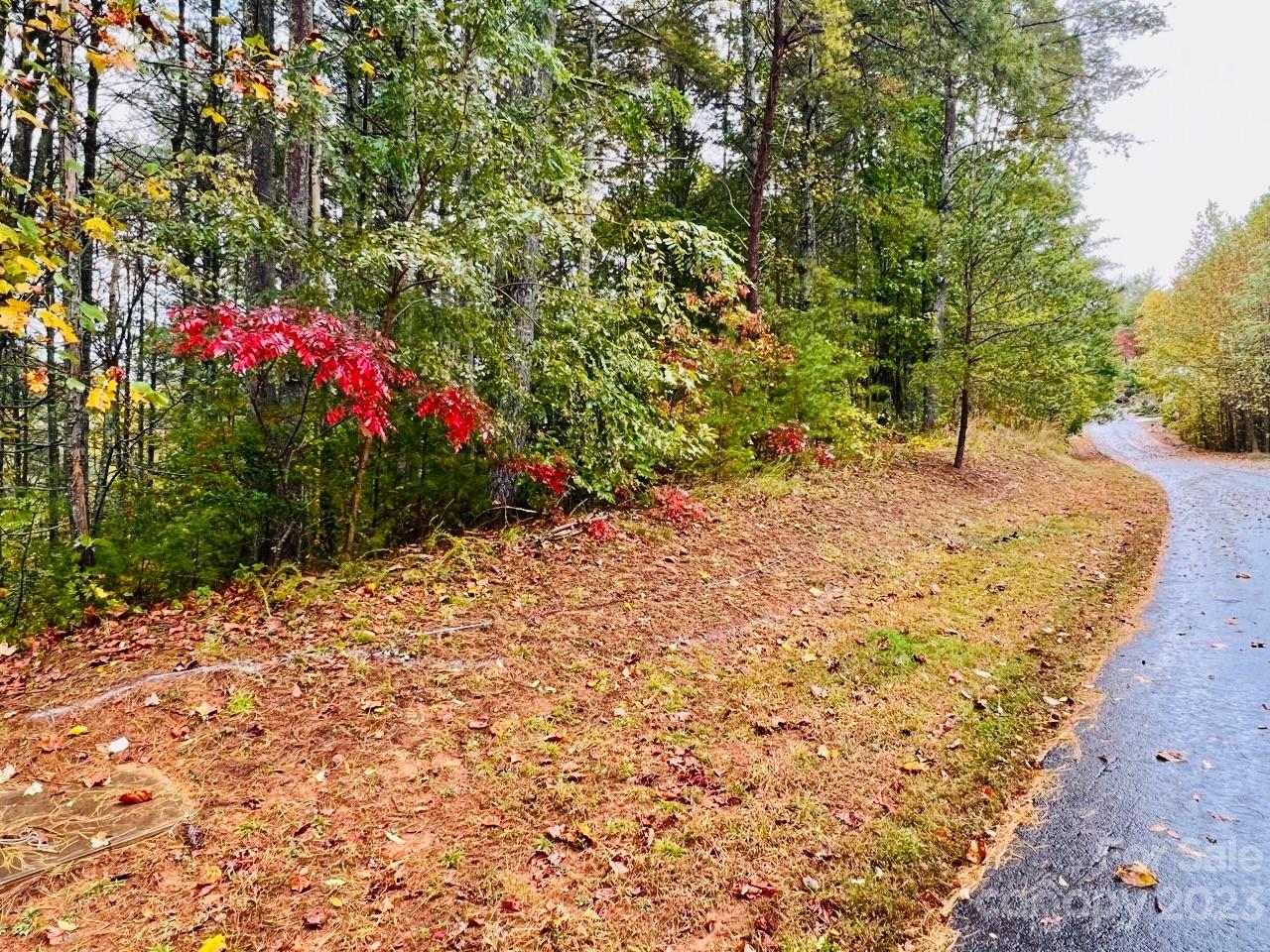 The Coves Mountain River Club - Land