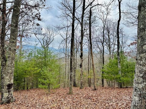 275 Raccoon Run 24 Marshall NC 28753