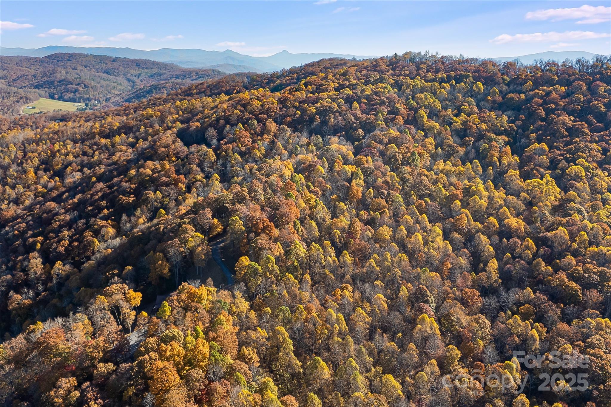 Mountain Brook Estates - Land