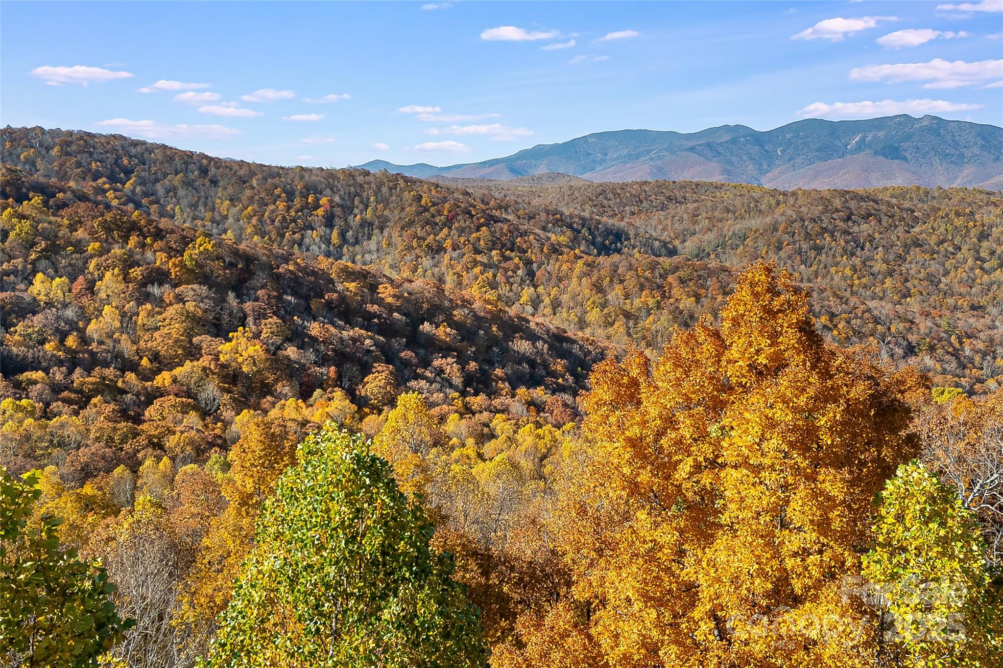 Mountain Brook Estates - Land
