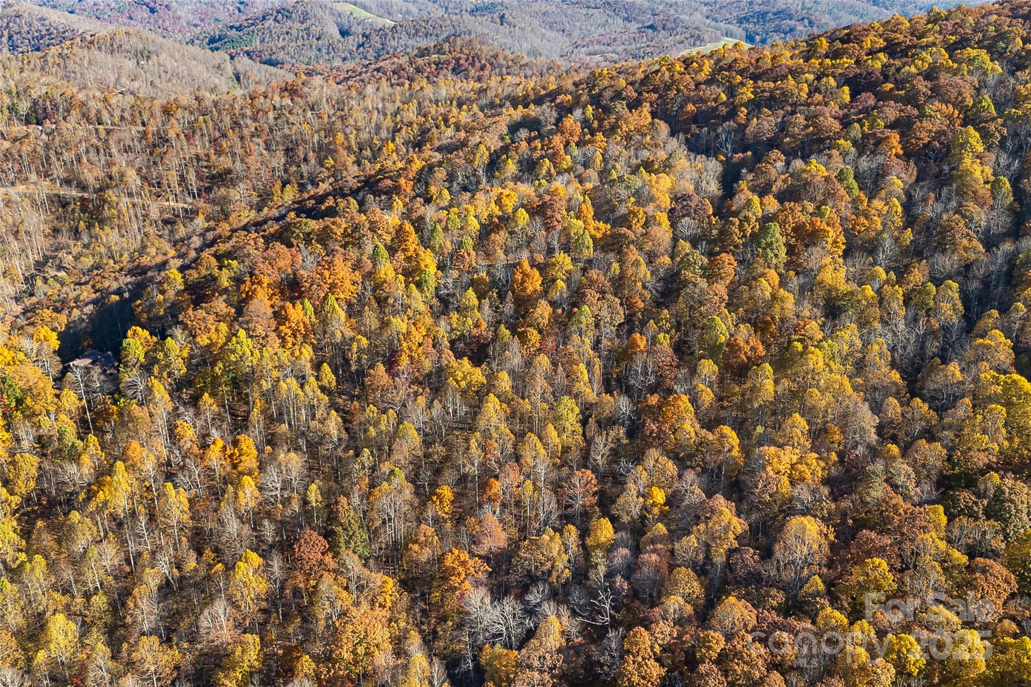 Mountain Brook Estates - Land