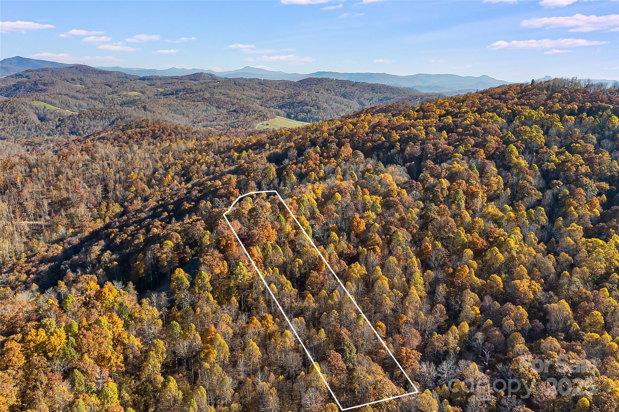 Lot 103 Alderfly Court