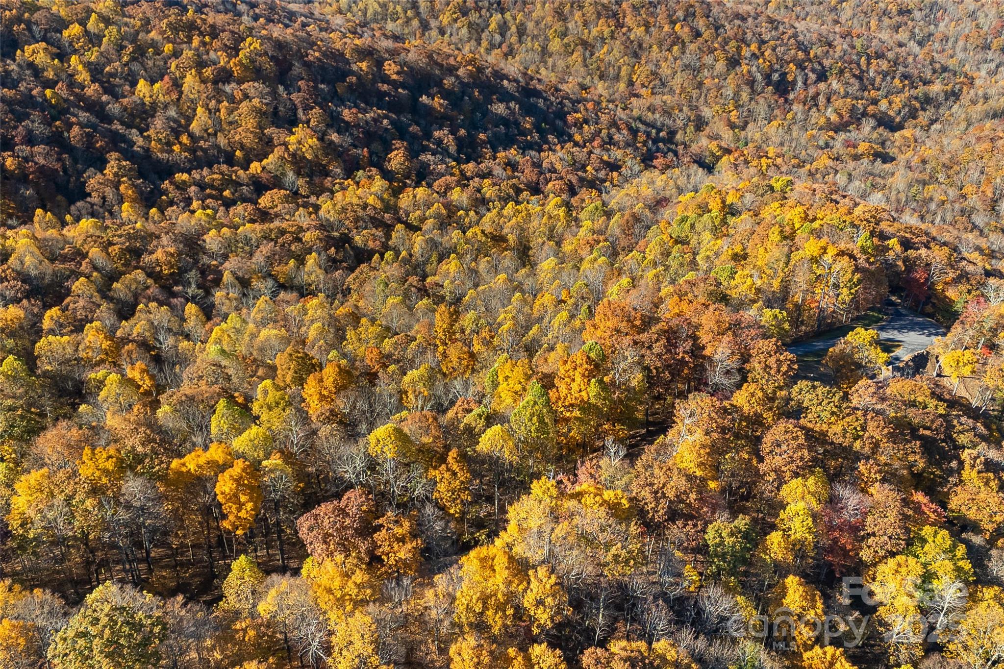 Mountain Brook Estates - Land