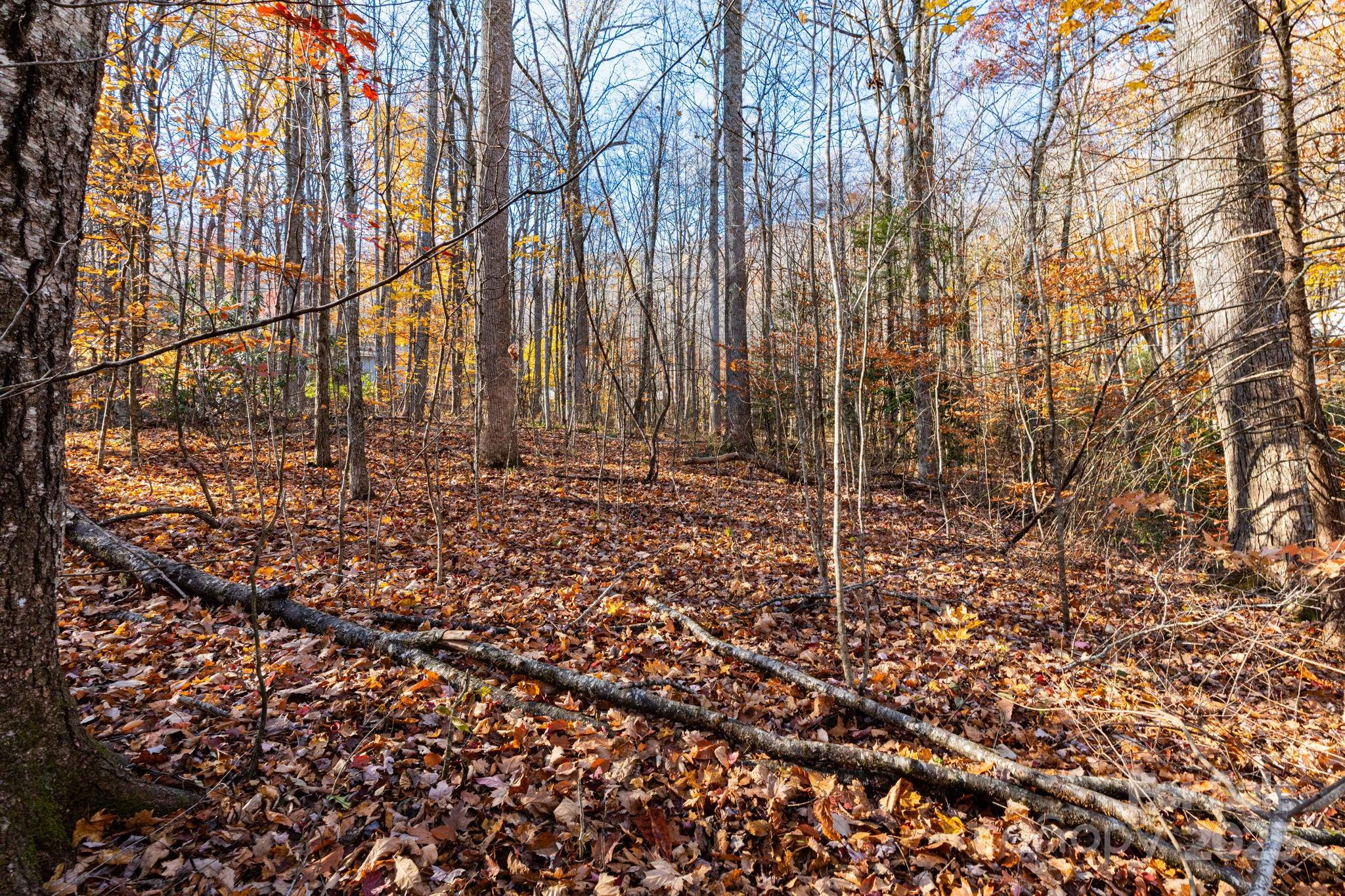 Lot 60 Twinbrook Lane