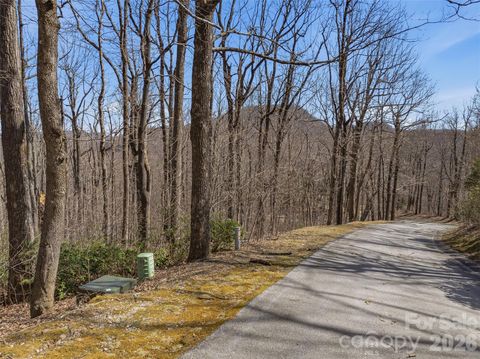 Photo of TBD Wild Magnolia Way #52, Zirconia, NC 28790 (MLS # 4359816)