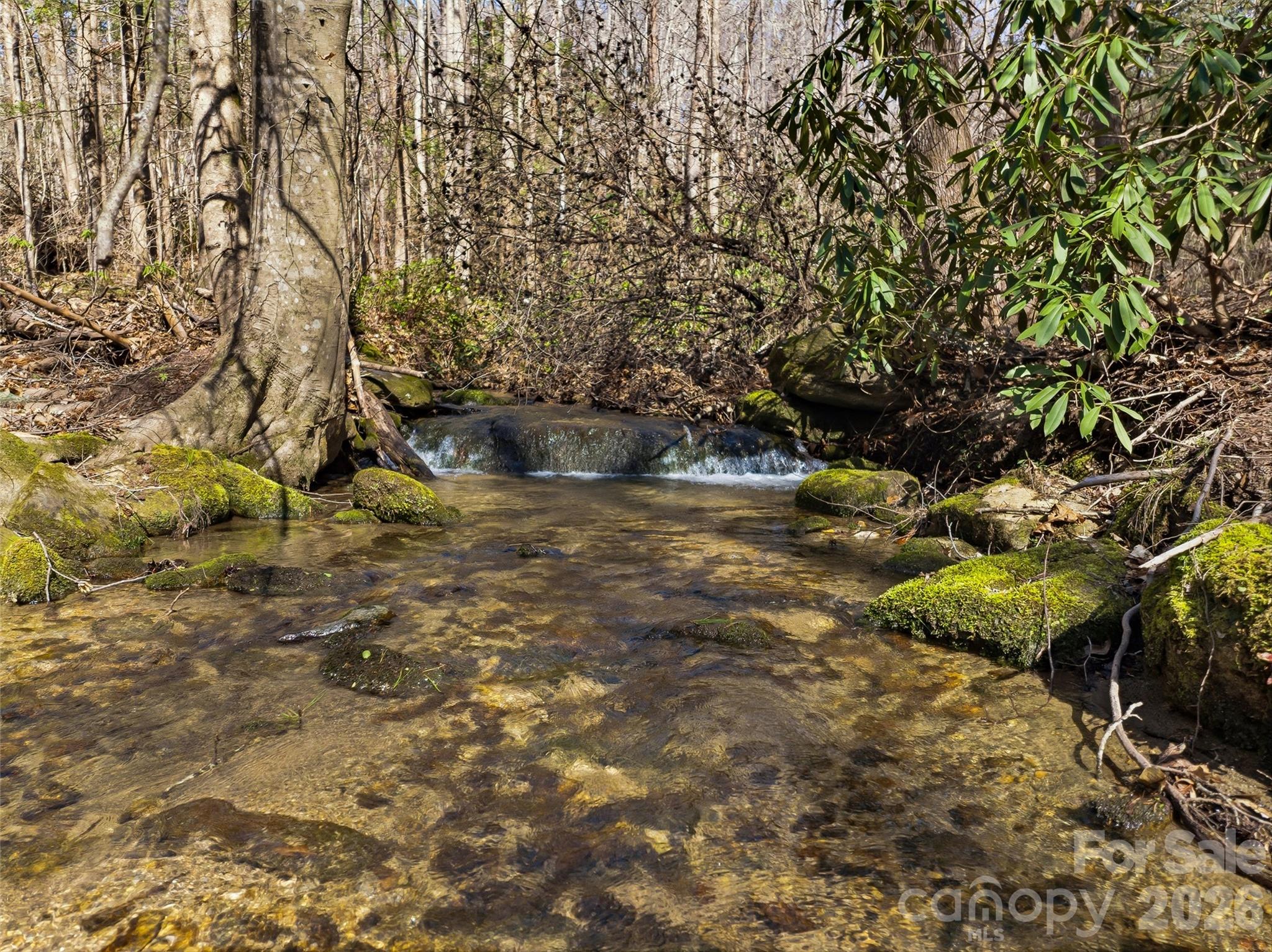The Cliffs Valley - Land