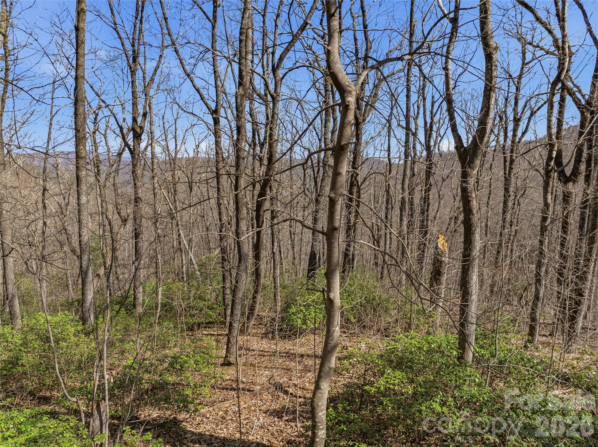 TBD Wild Magnolia Way 52