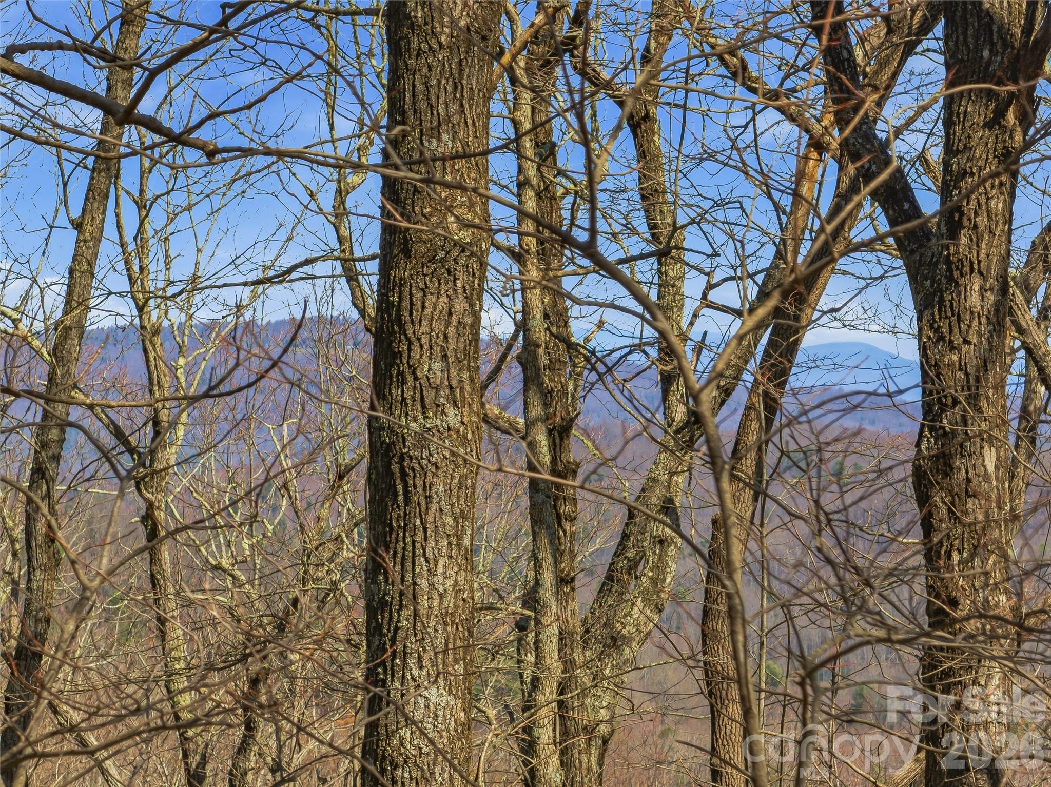 The Cliffs Valley - Land