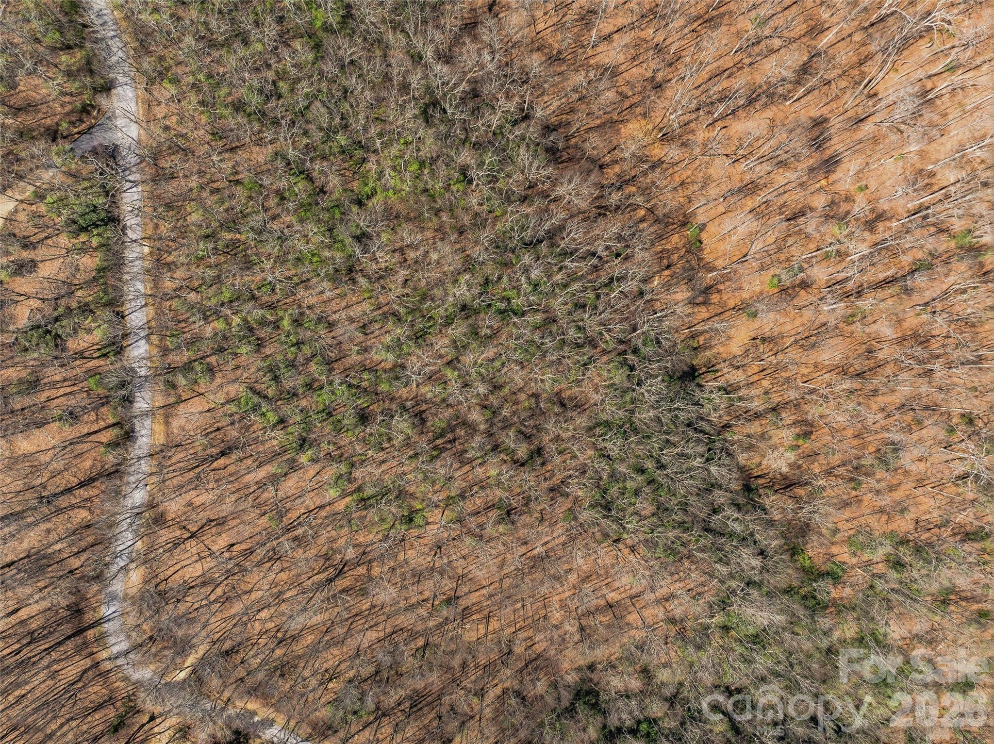 The Cliffs Valley - Land